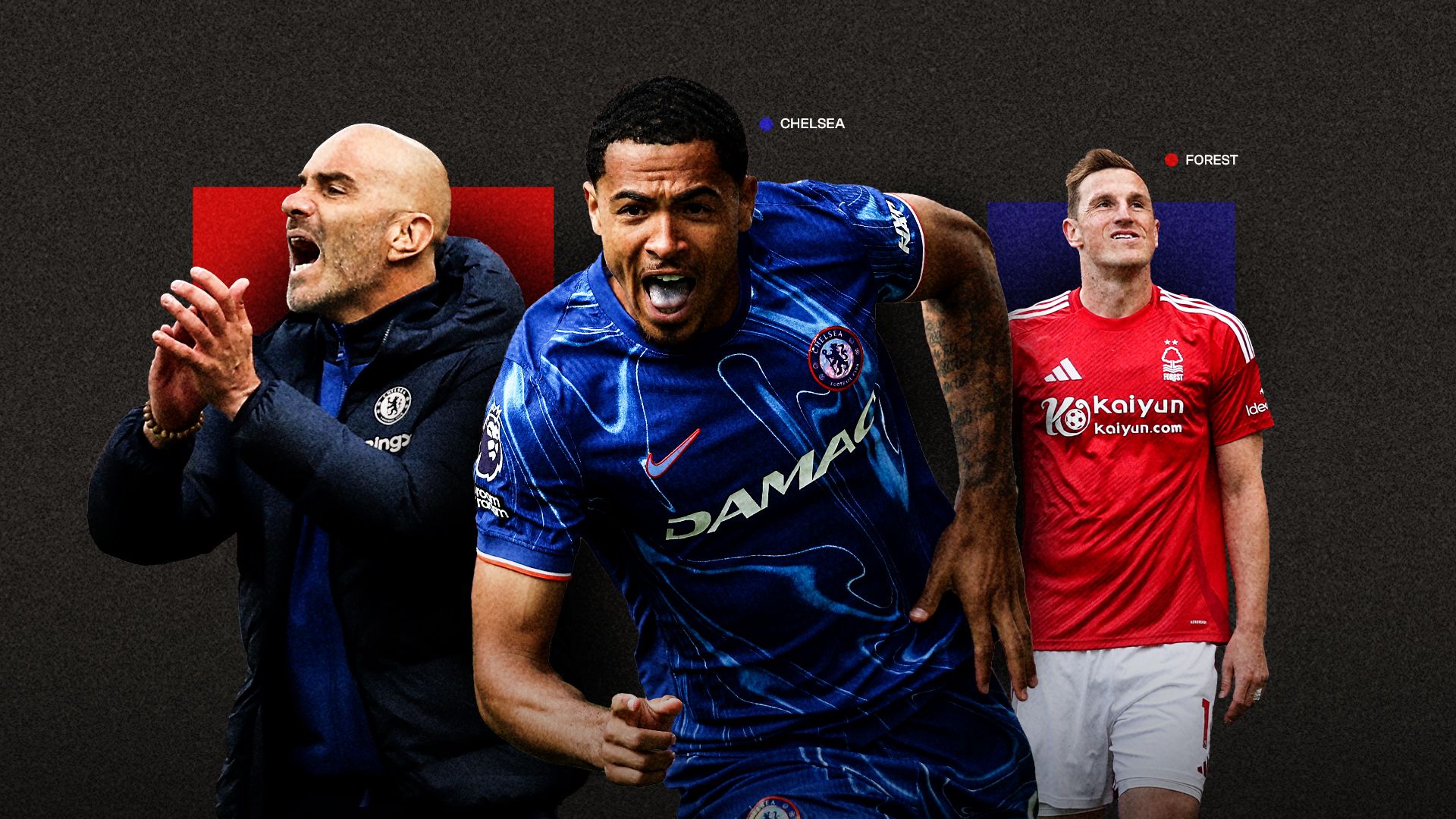 Chelsea Forest ratings GFX