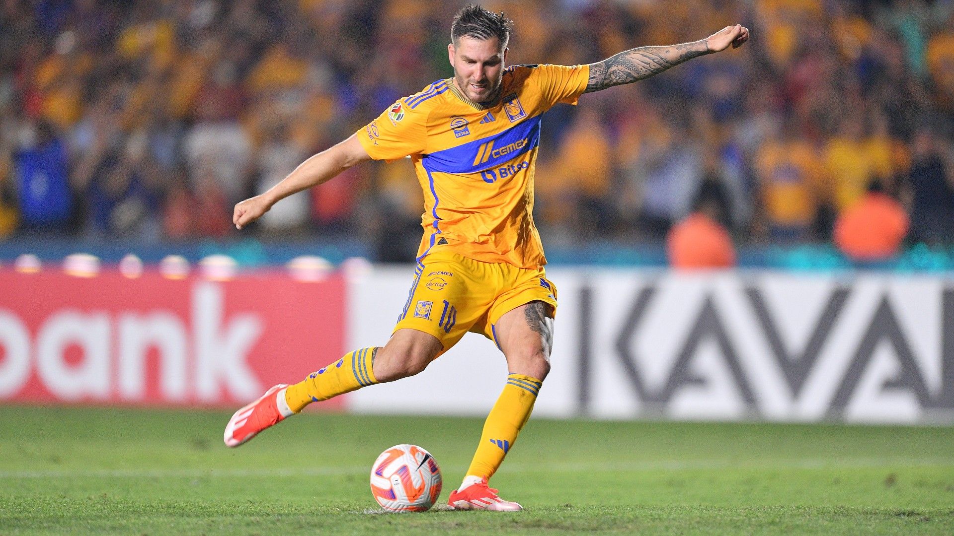 André-Pierre Gignac Tigres Apertura 2024