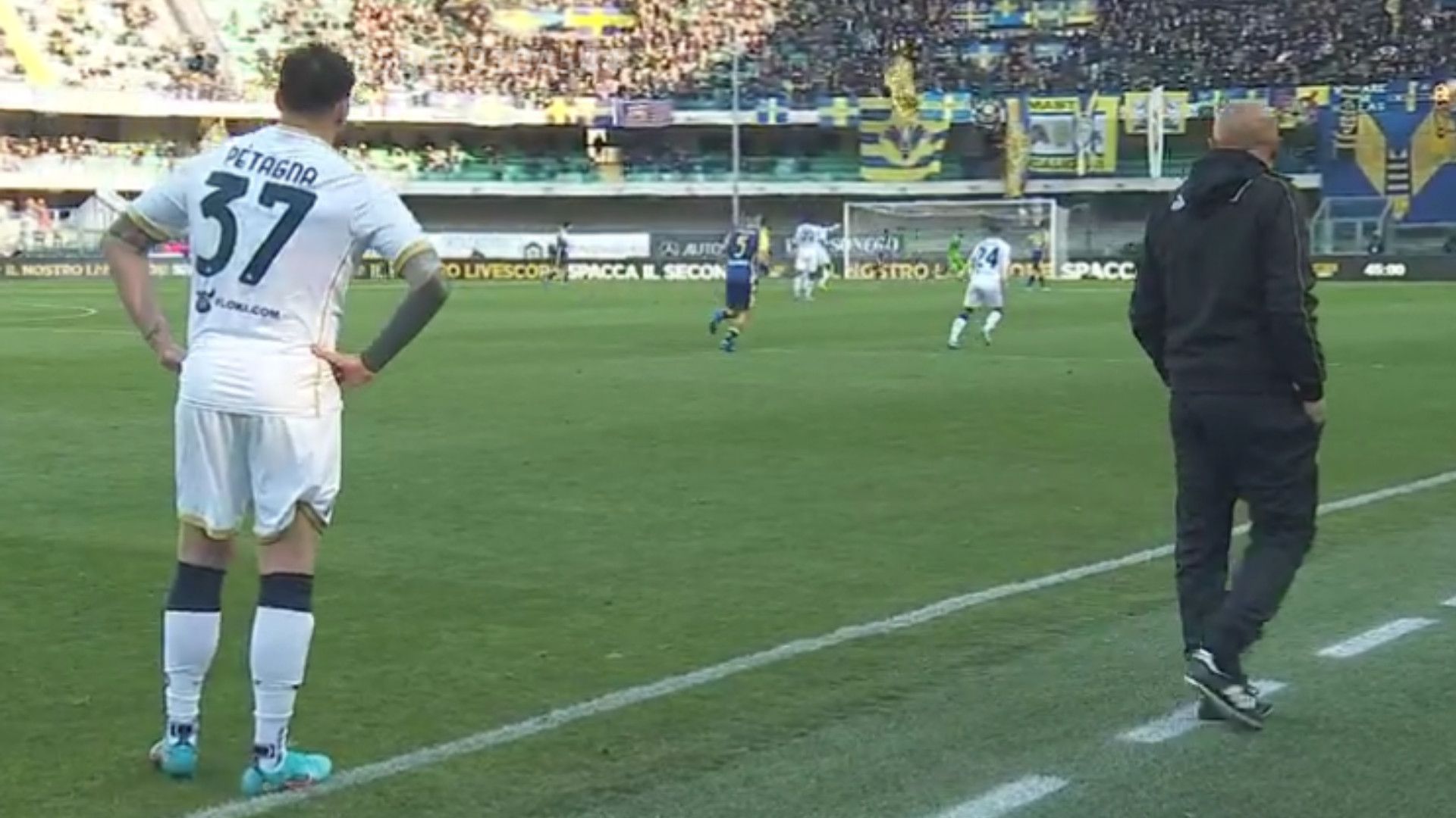 Petagna Spalletti Verona Napoli 