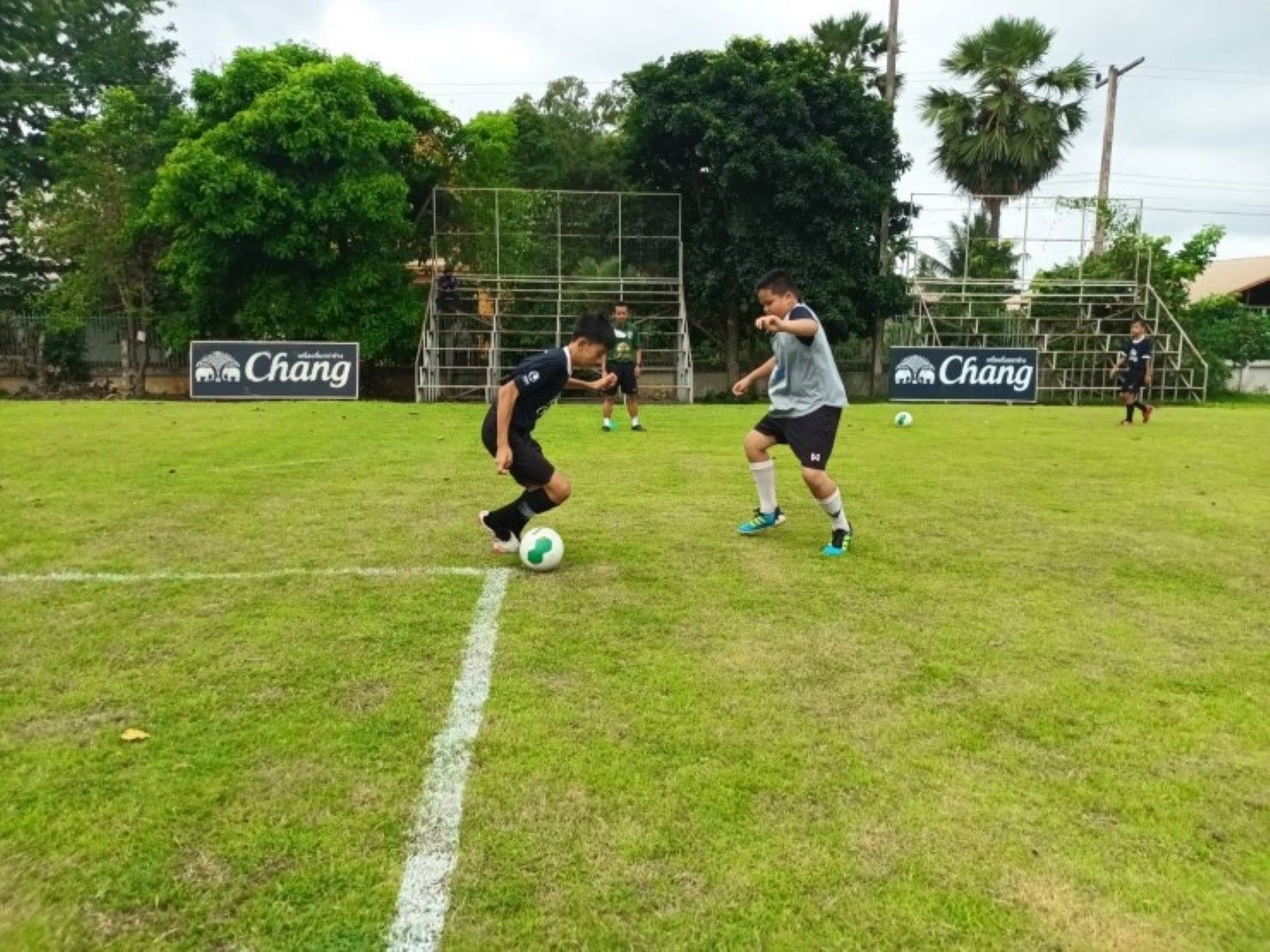 ช้าง ฟุตบอล คอมมูนิตี้