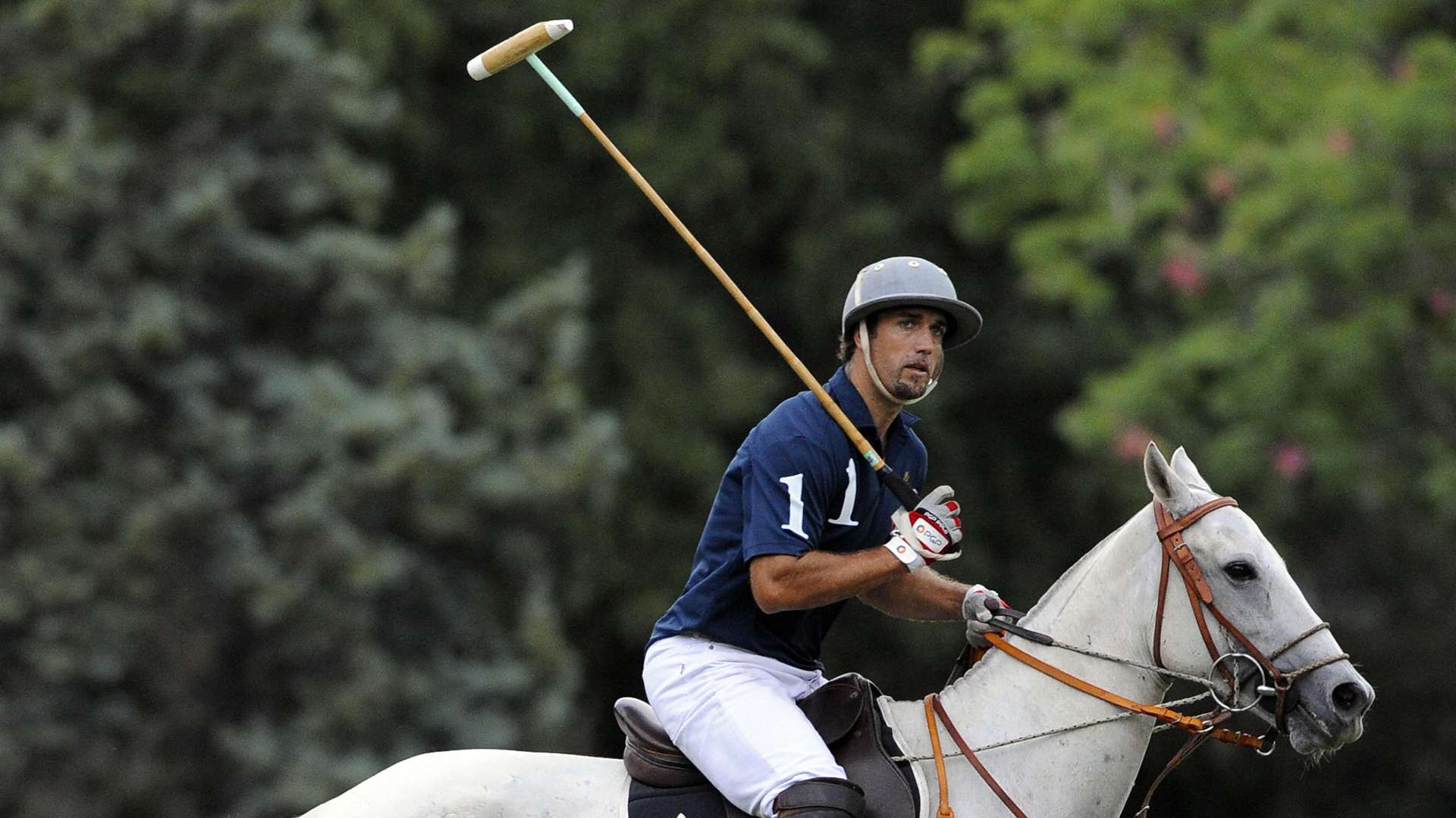 Gabriel Batistuta polo