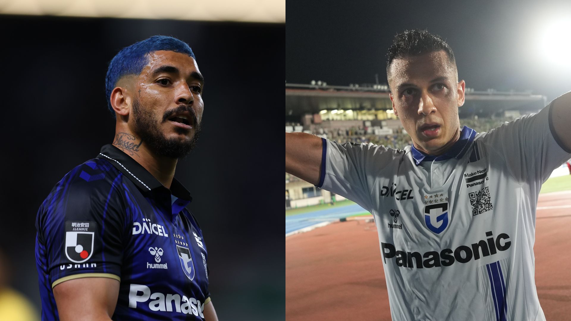 gamba-welton-juan-alano