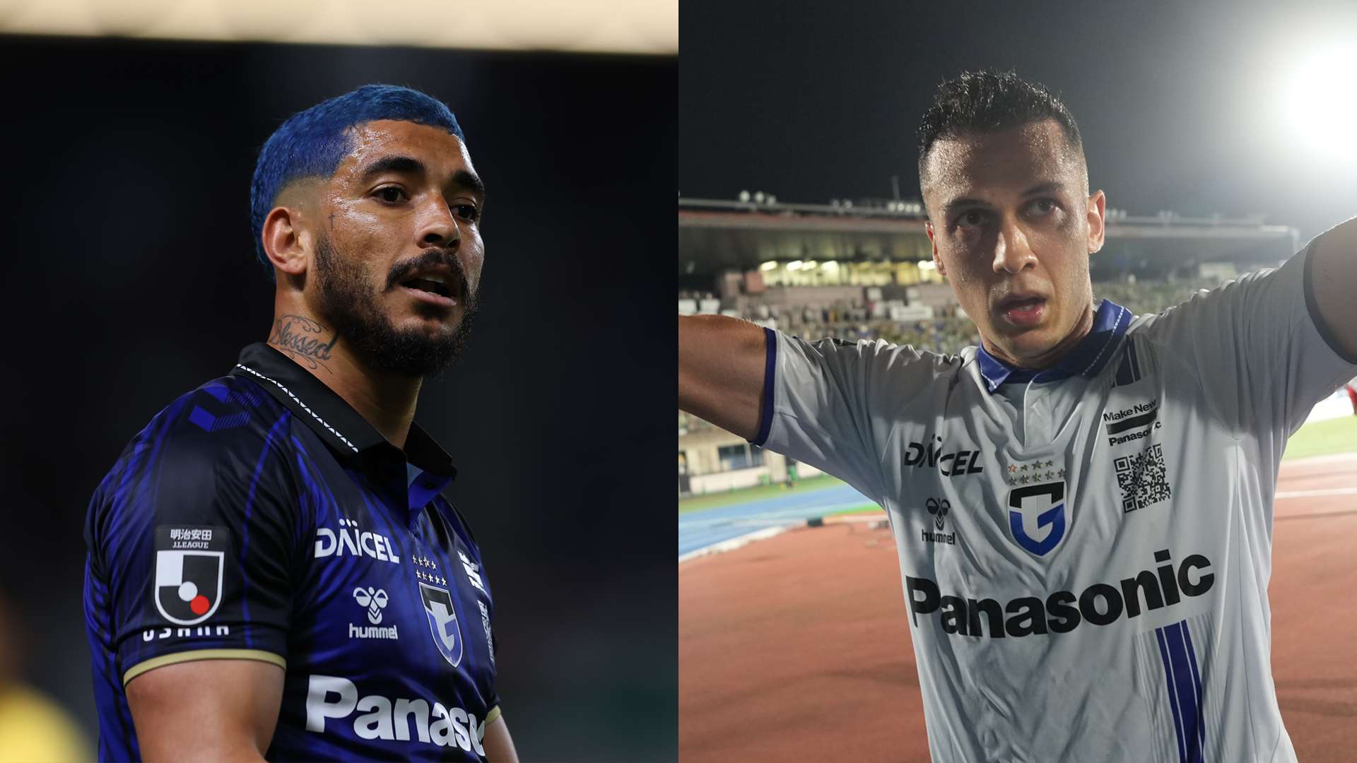 gamba-welton-juan-alano
