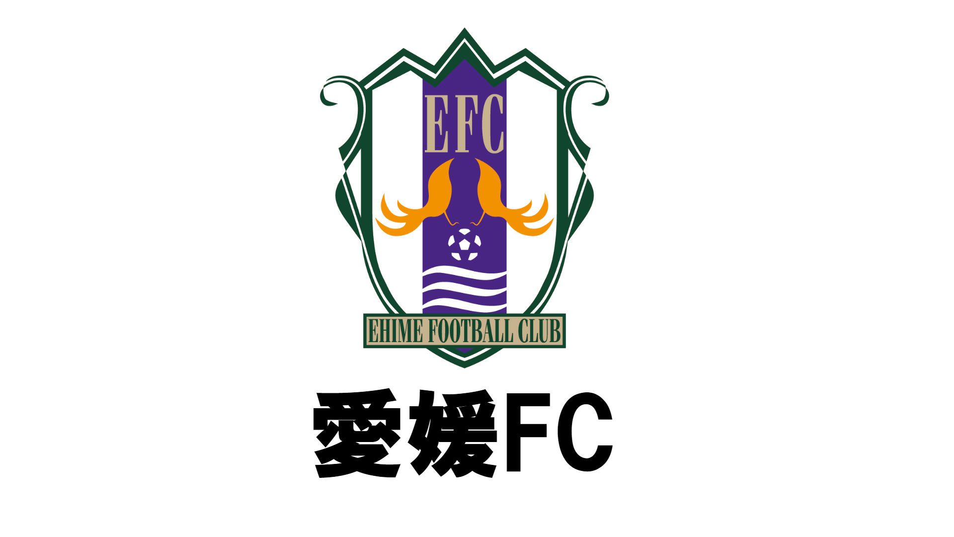 愛媛FC.jpg