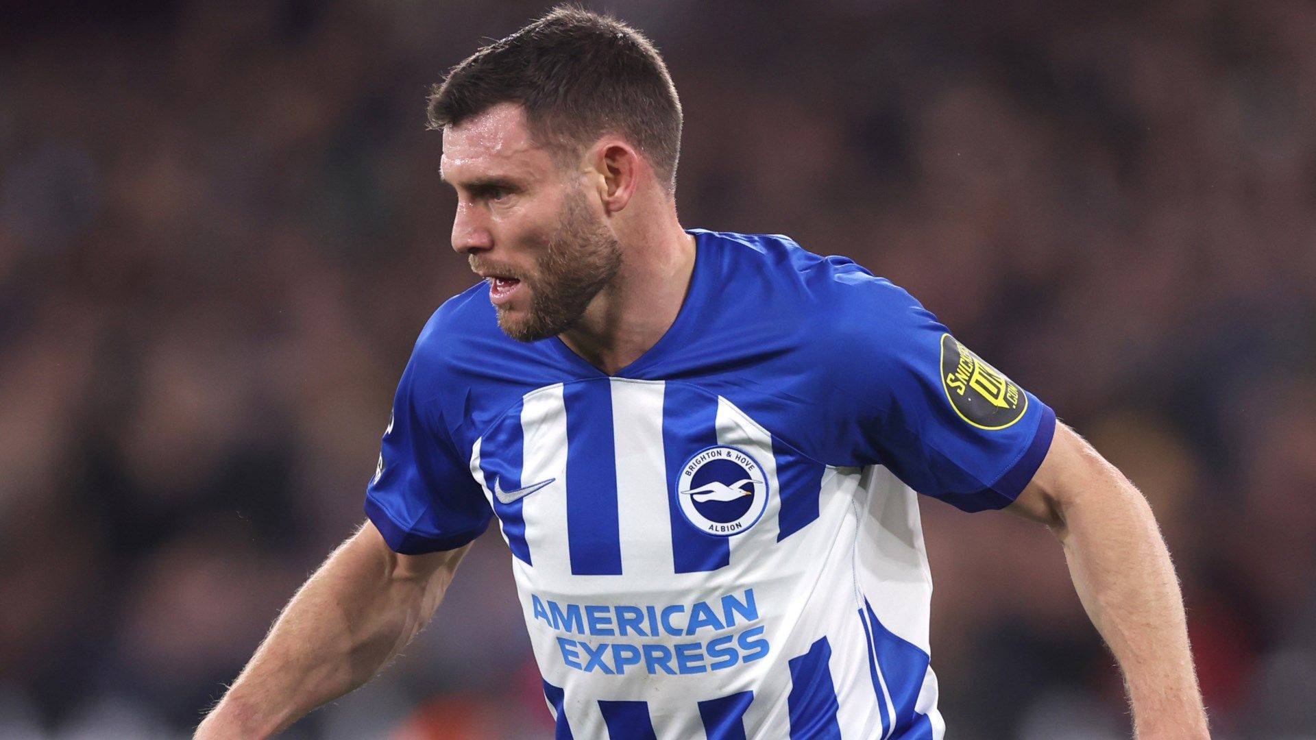 James Milner Brighton Premier League 2023-24