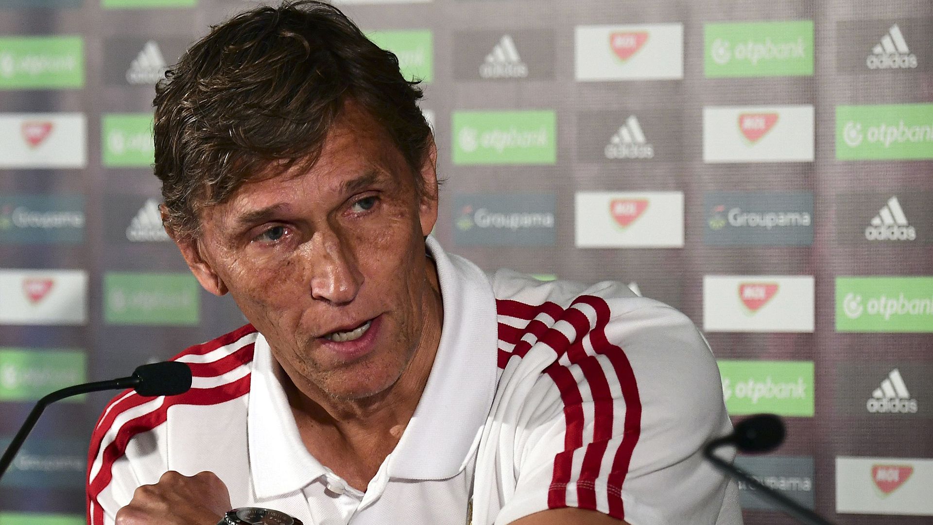 Holger Gehrke Hungary