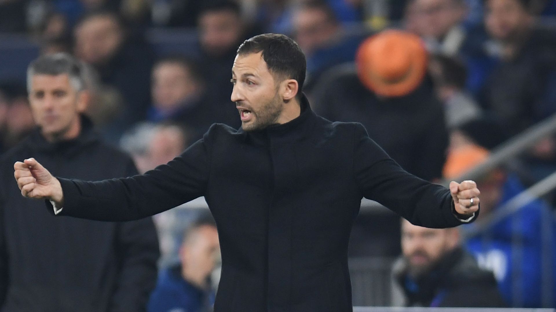 Domenico Tedesco Schalke 11122018