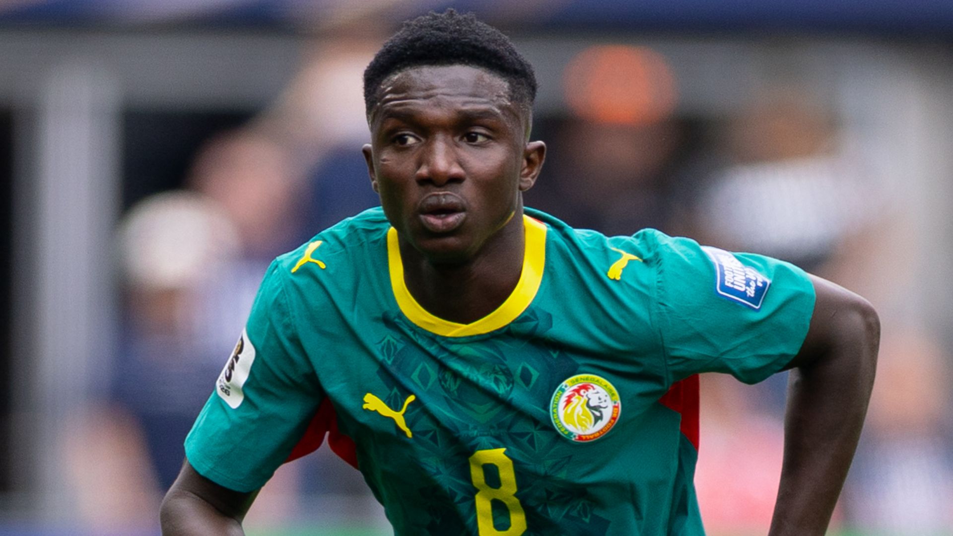 Lamine Camara Senegal 2026