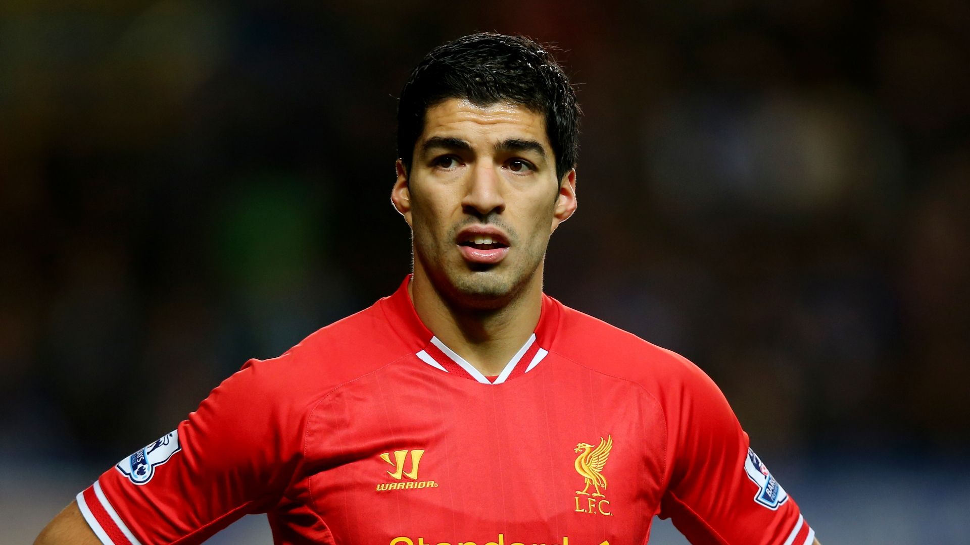 Luis Suarez, Liverpool