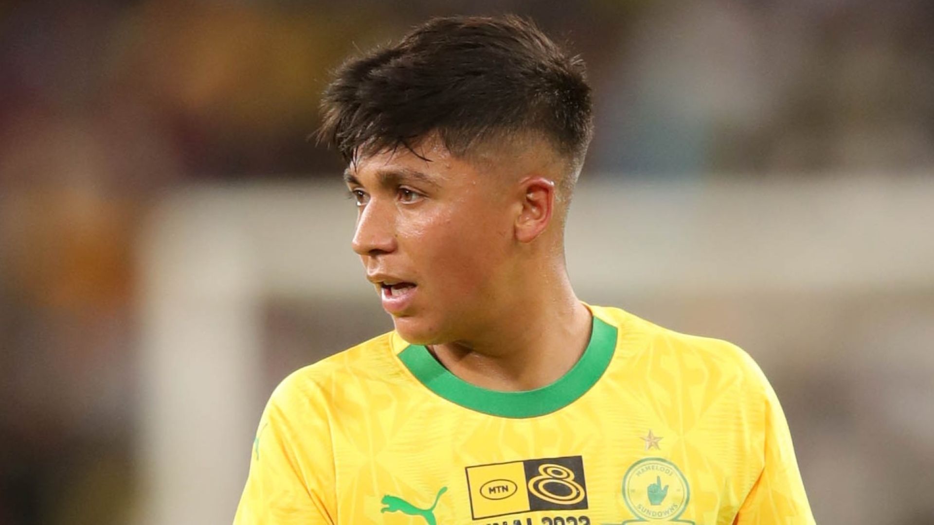 Marcelo Allende, Sundowns