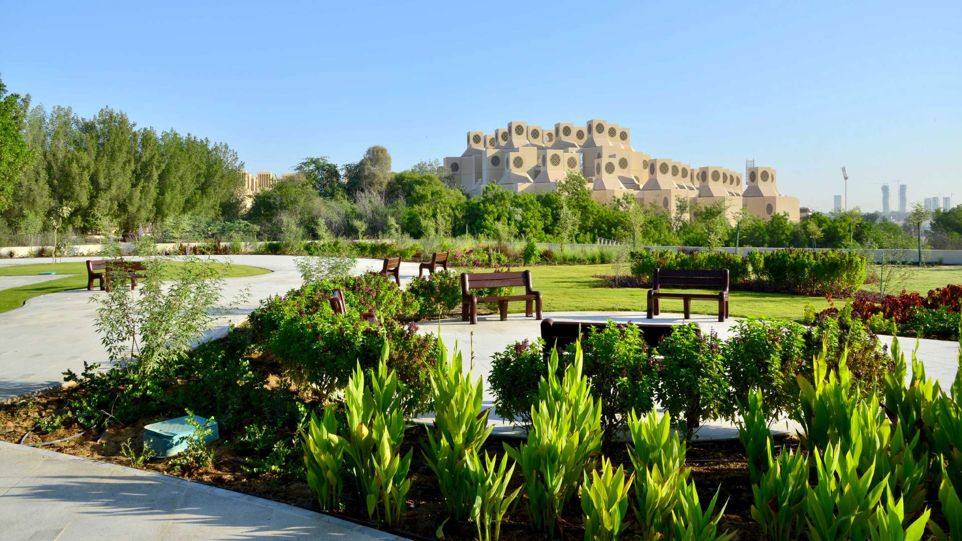 universidad de qatar 2022