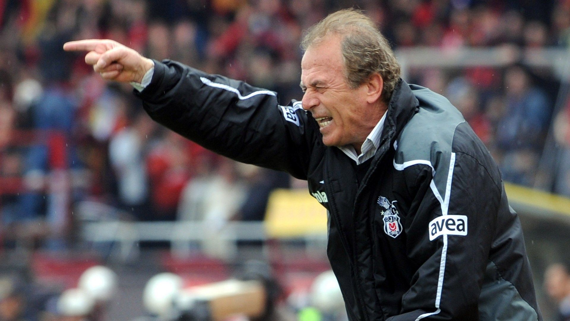 Mustafa Denizli Besiktas