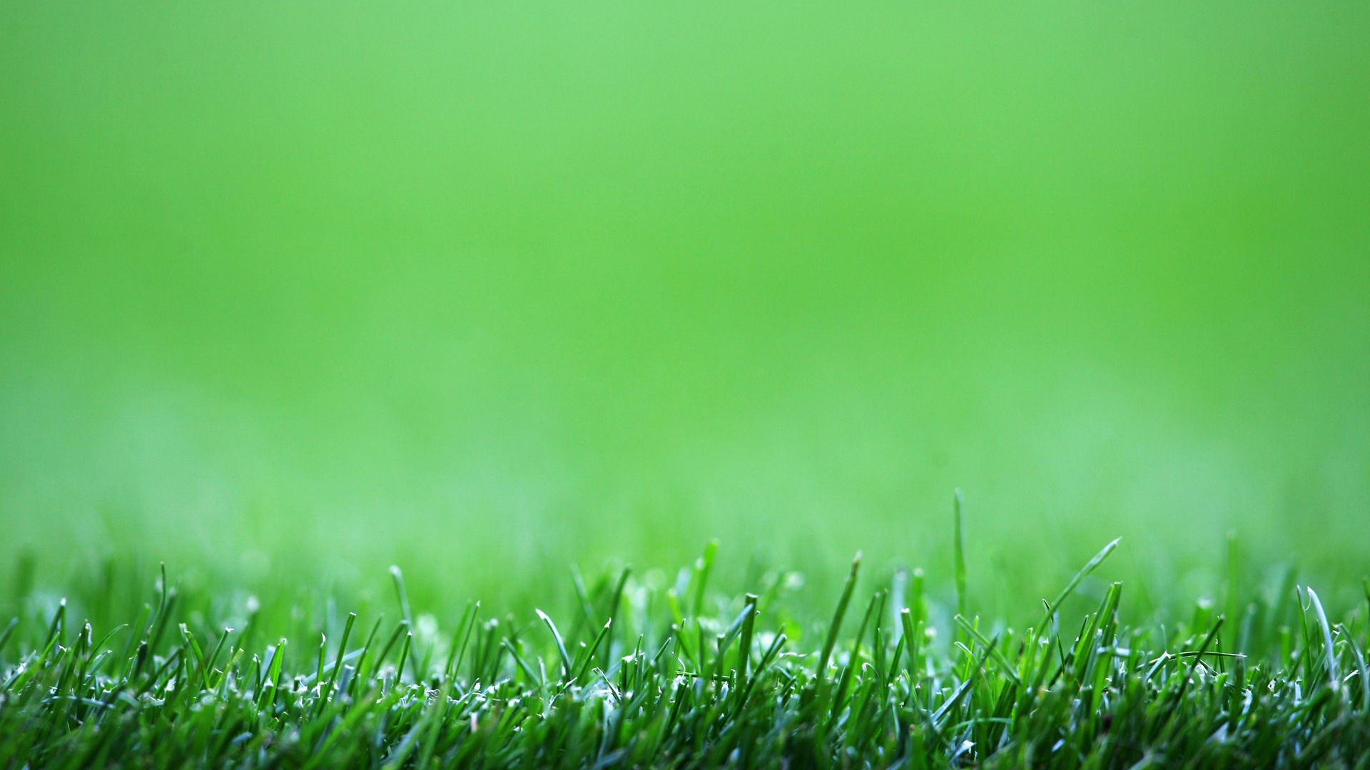 Soccer Pitch 08082009