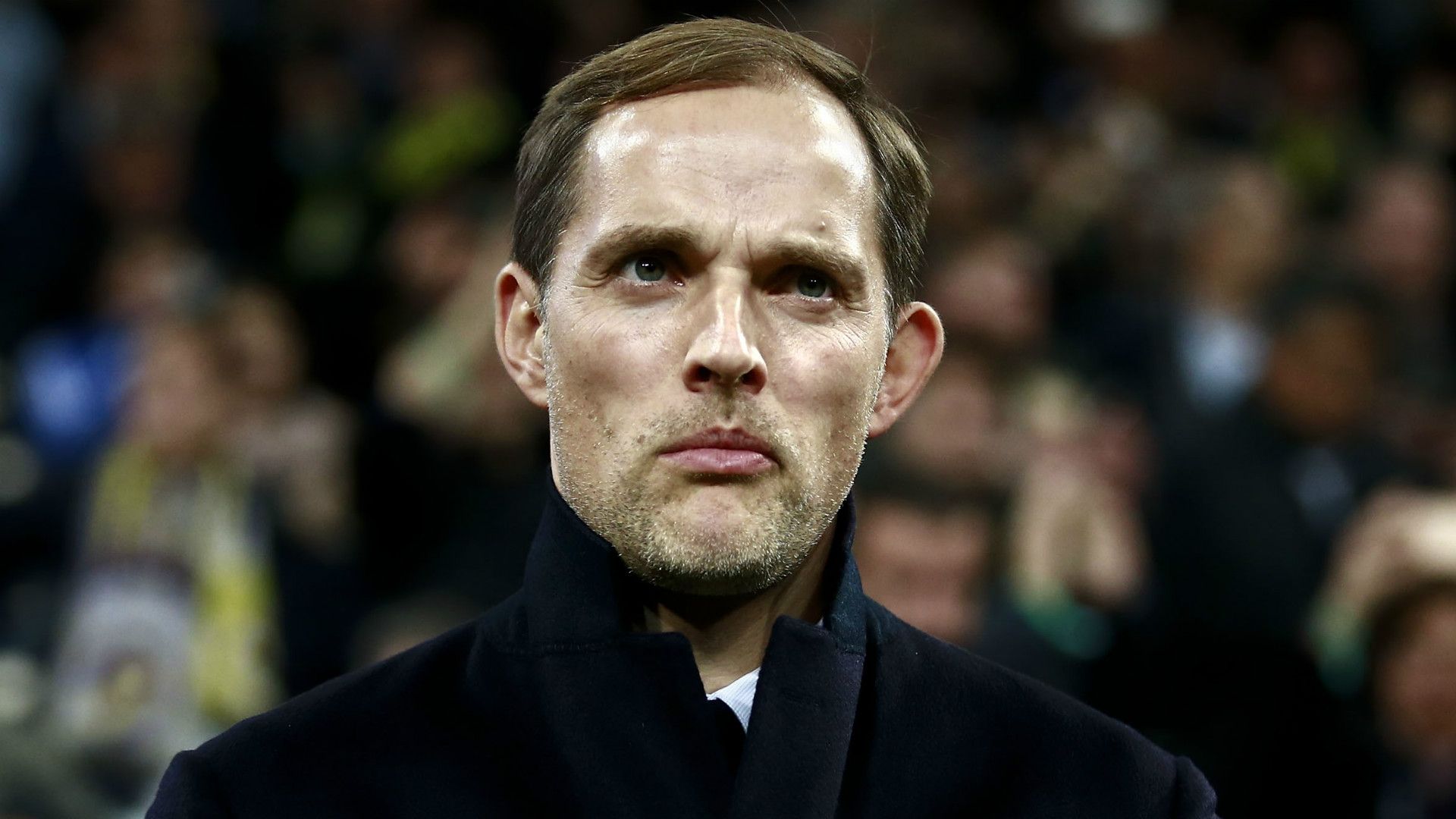 HD Thomas Tuchel Borussia Dortmund