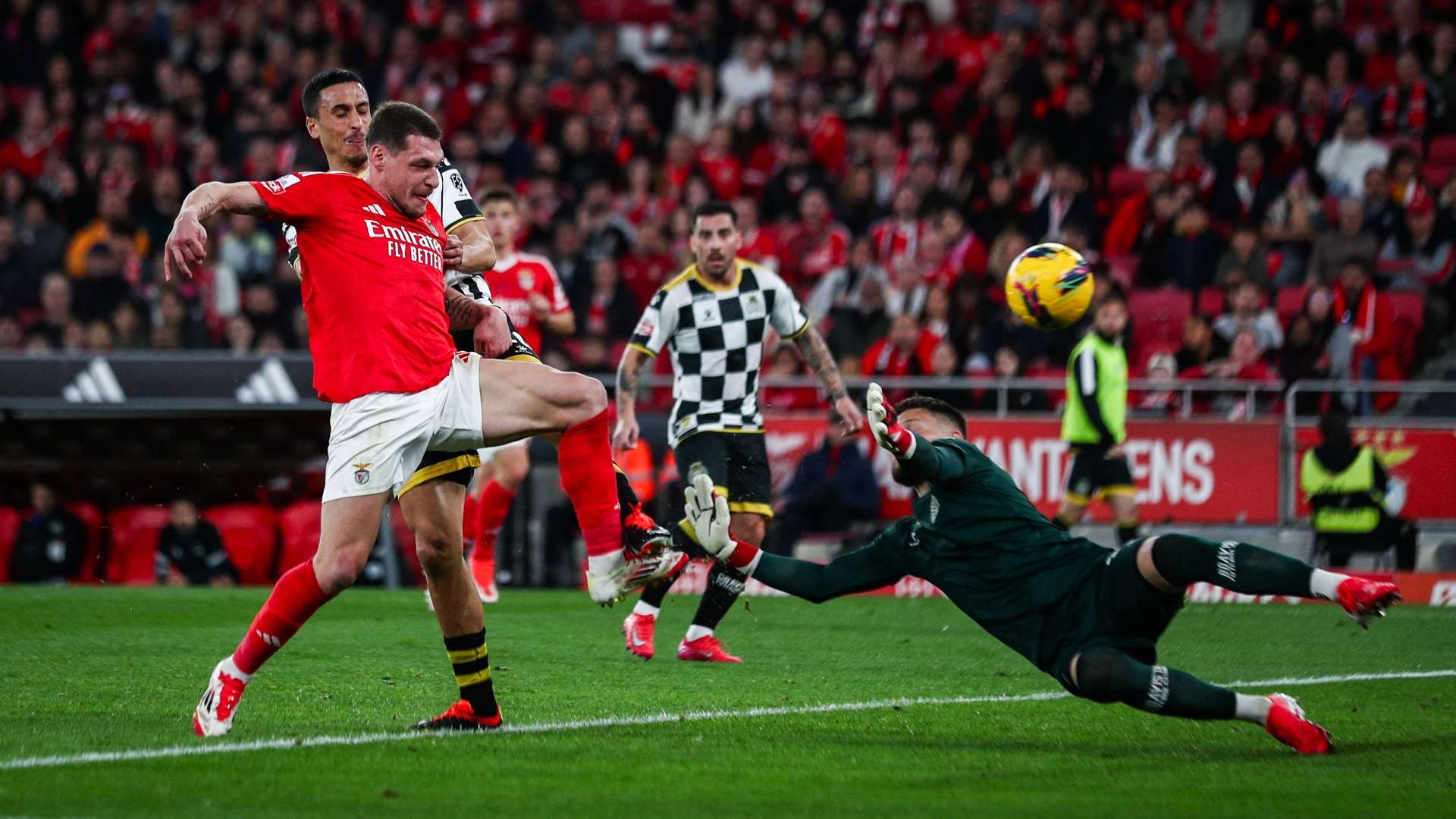 Belotti Benfica 2025