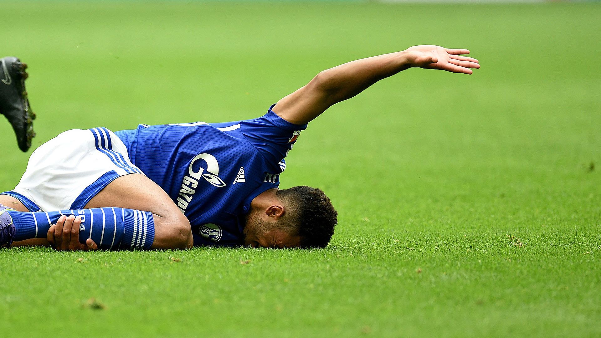 Eric Maxim Choupo-Moting Schalke 04  20092014