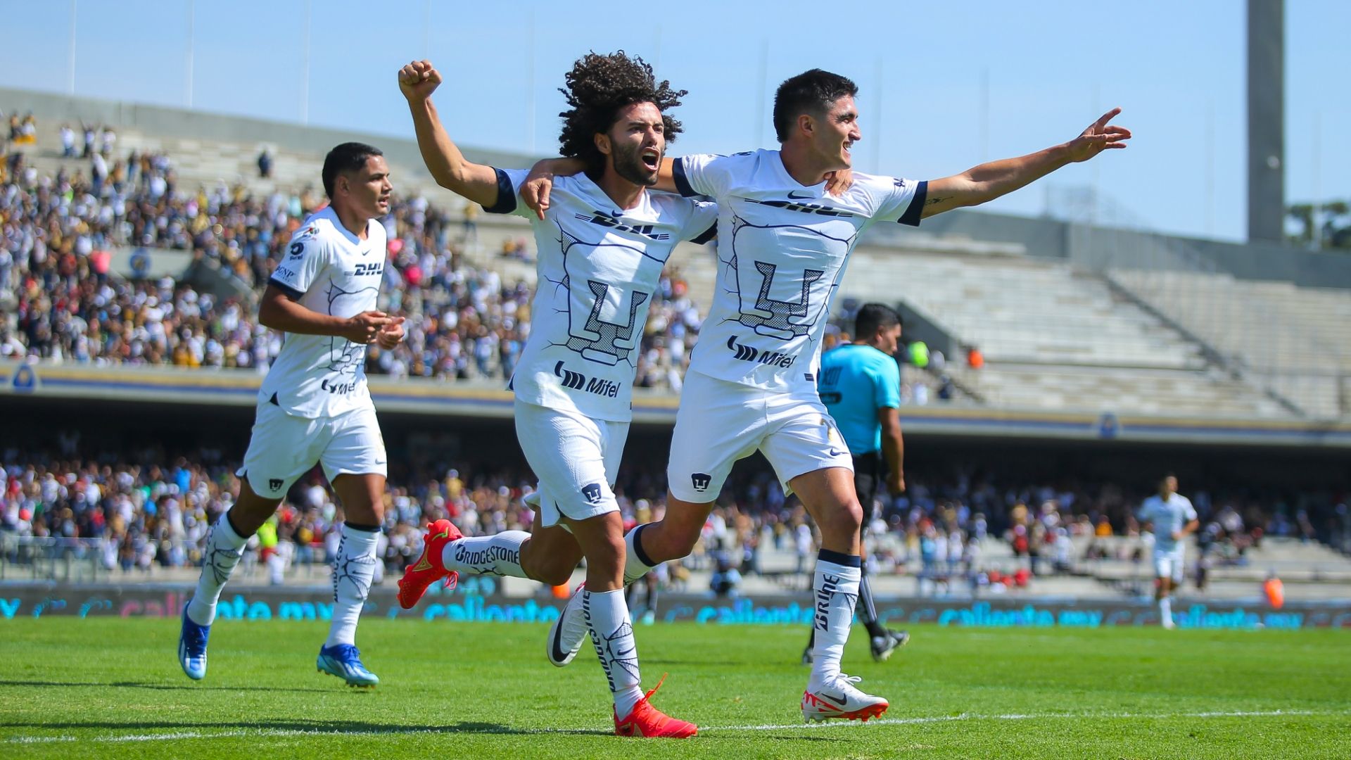 Pumas UNAM Apertura 2023 Liga MX