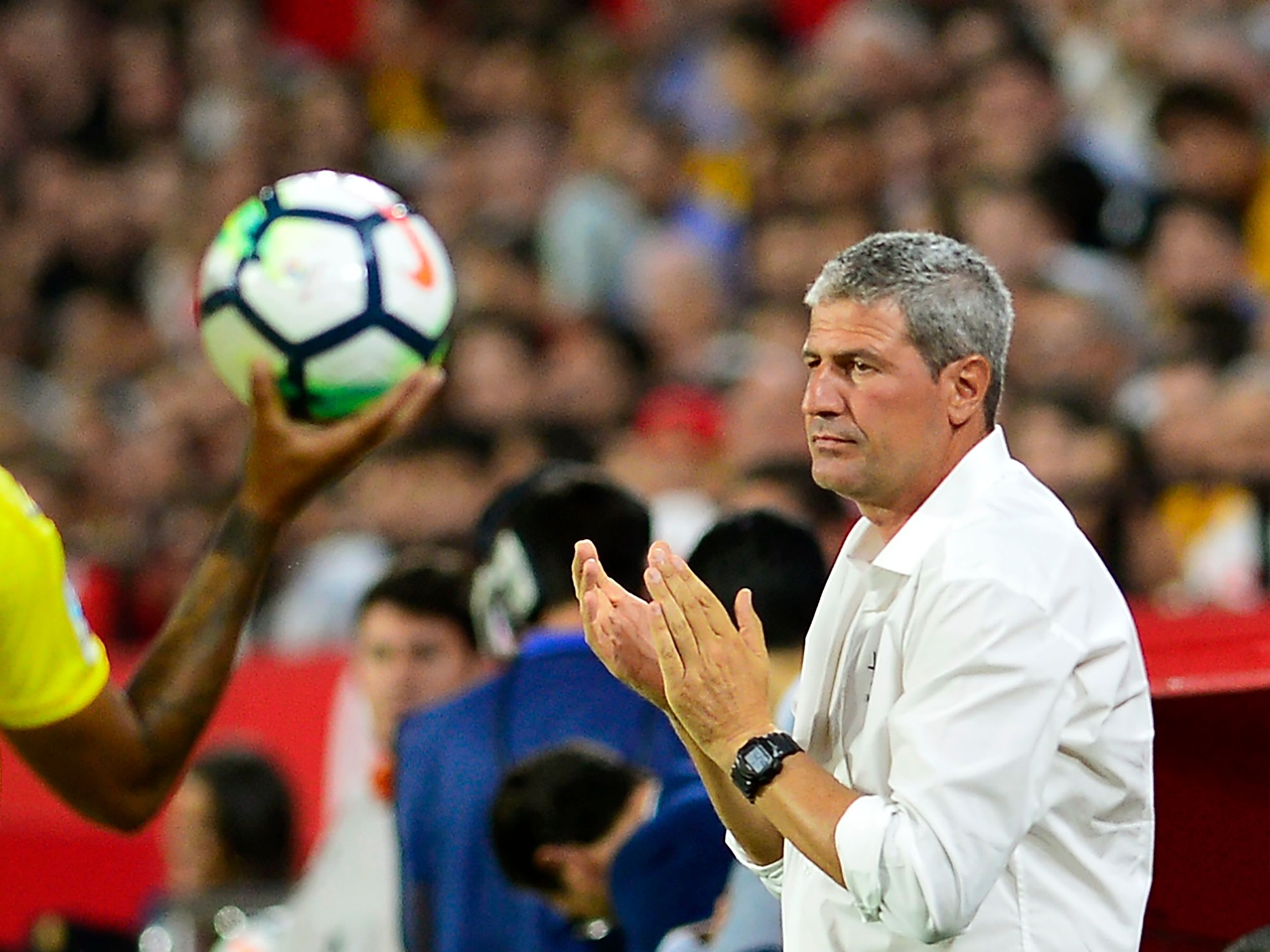 มิเกล "มาโนโล" มาร์เกวซ โรคา