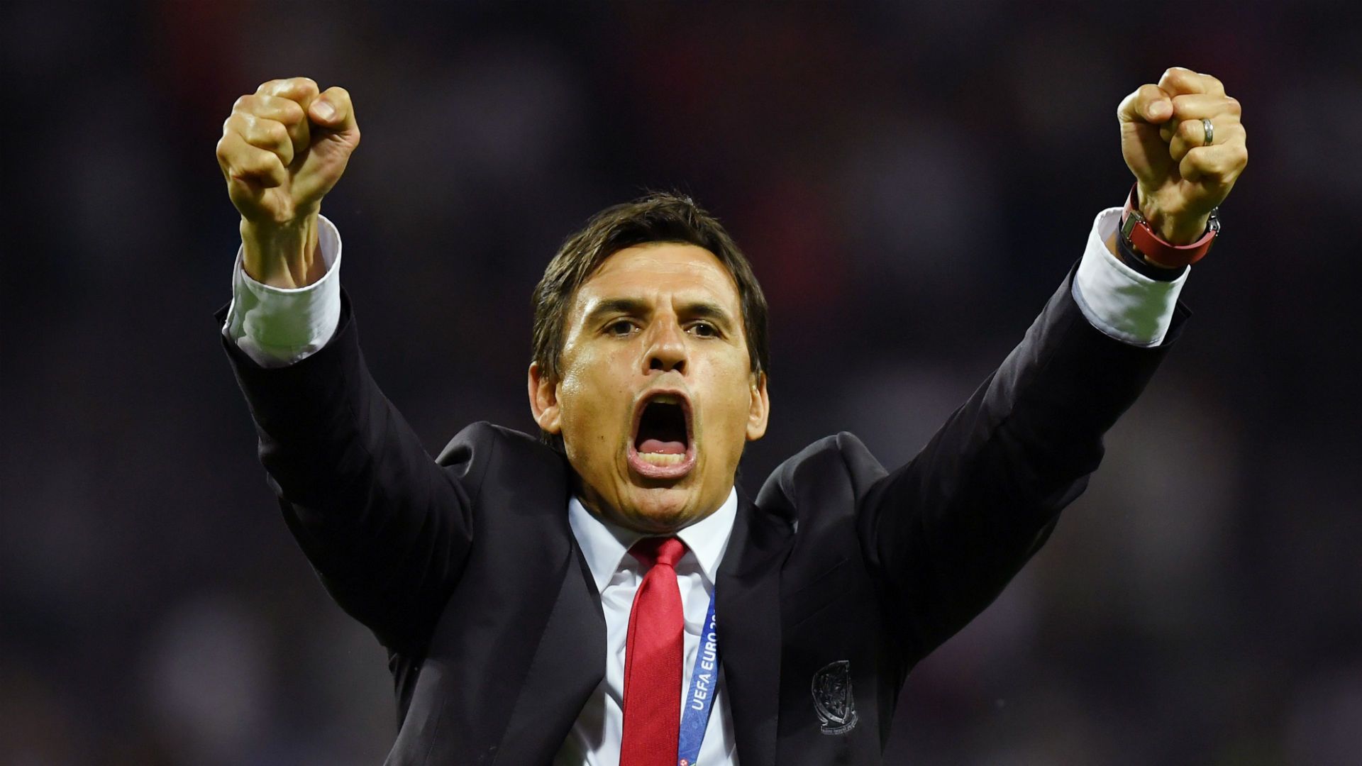 euro 2016 - chris coleman - wales russia - 20062016