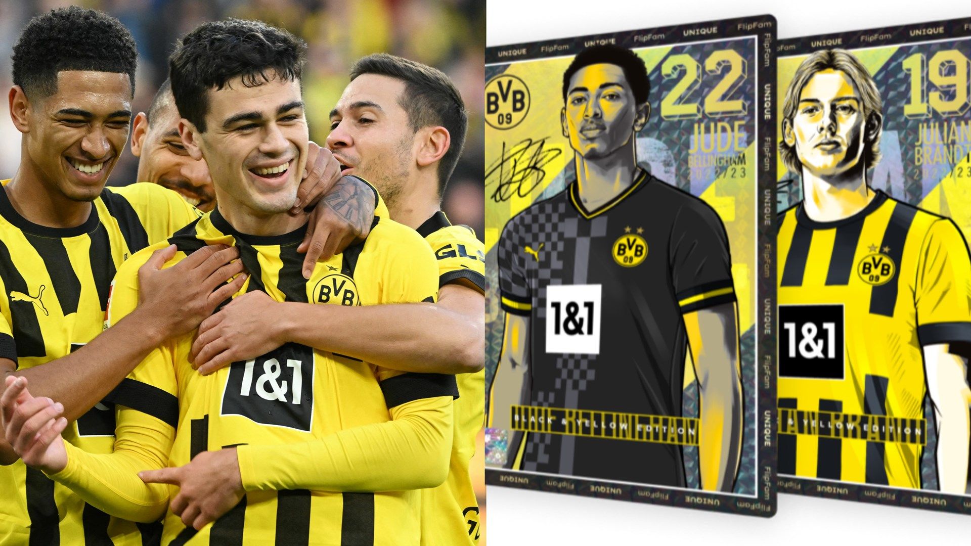 FlipFam Dortmund GFX