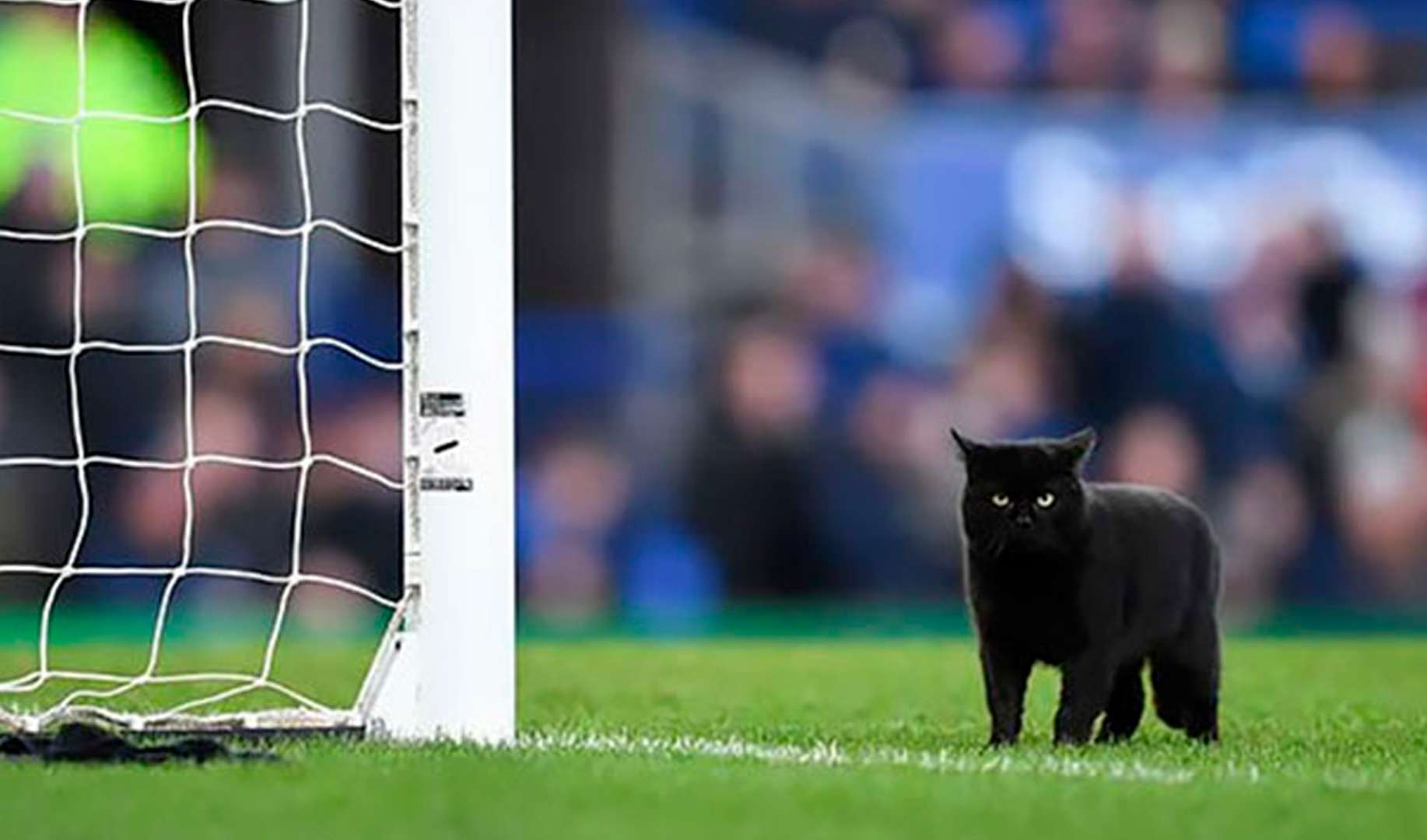 Witchcraft in African football