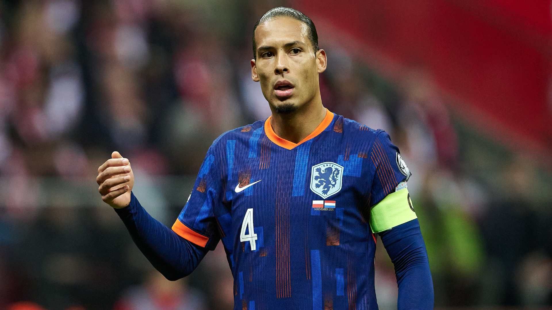dijk