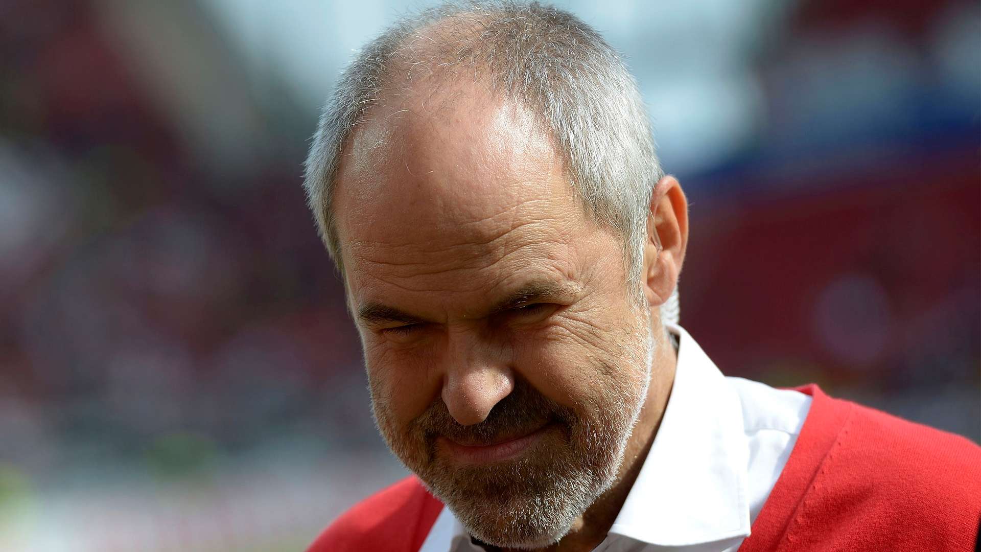 Wolfgang Holzhäuser 2013