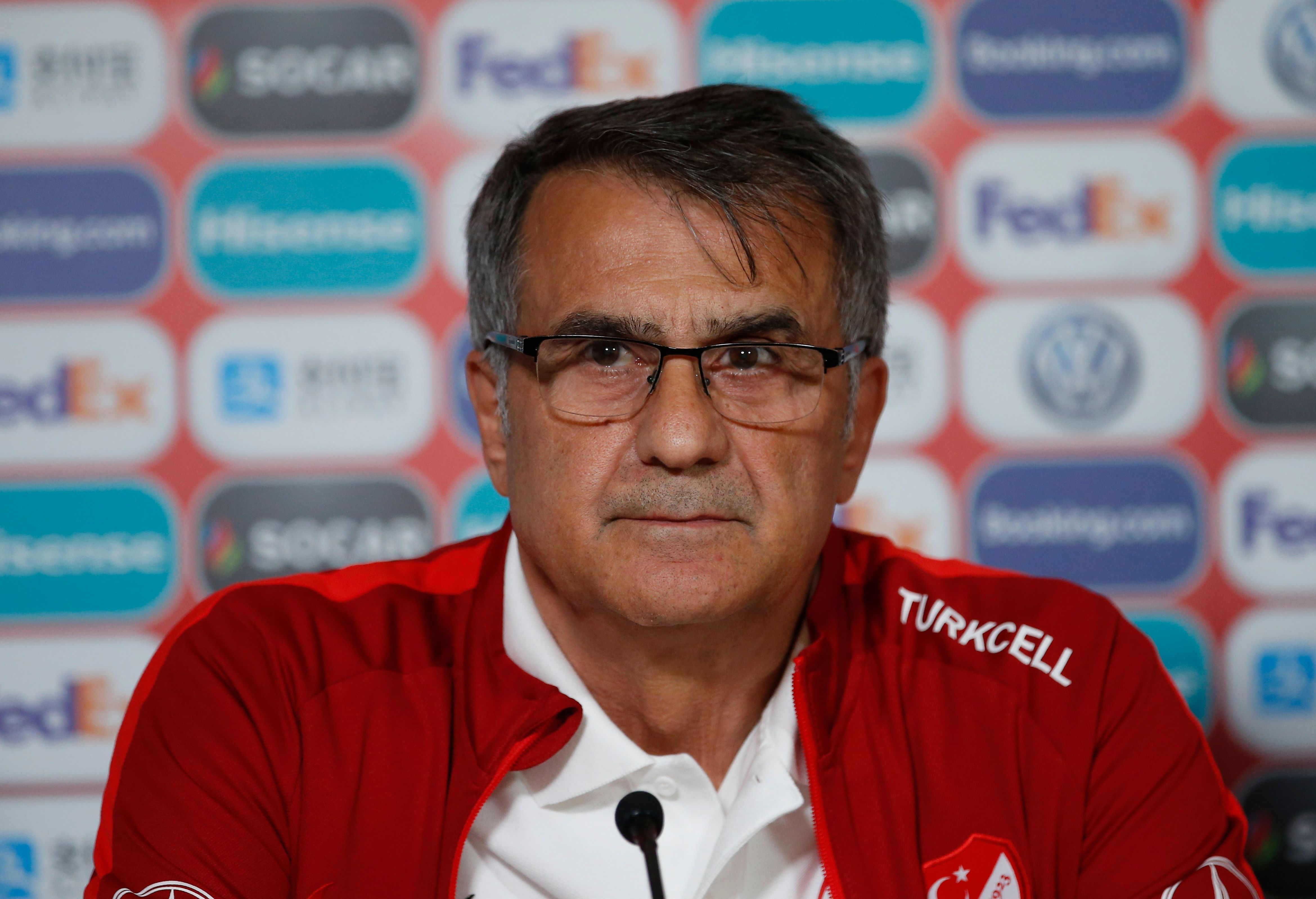 Senol Gunes Turkey Coach