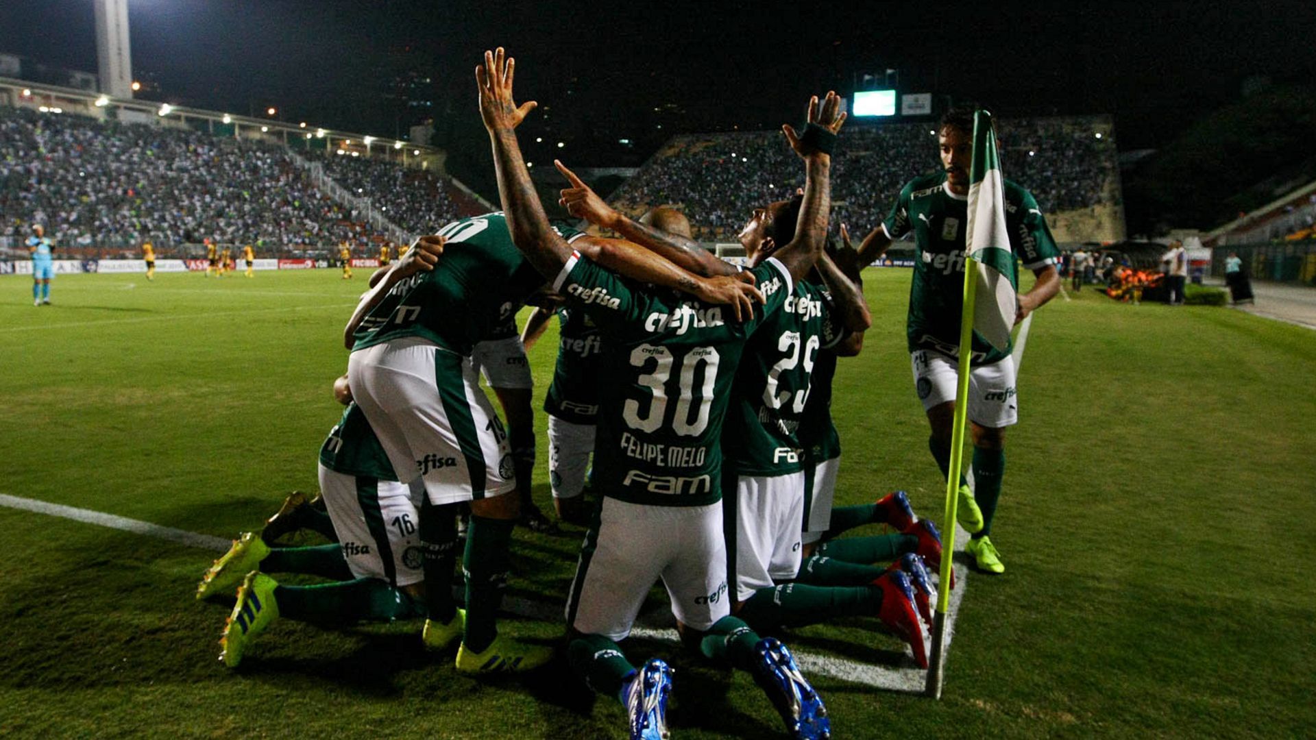 Palmeiras Novorizontino Paulista 26032019