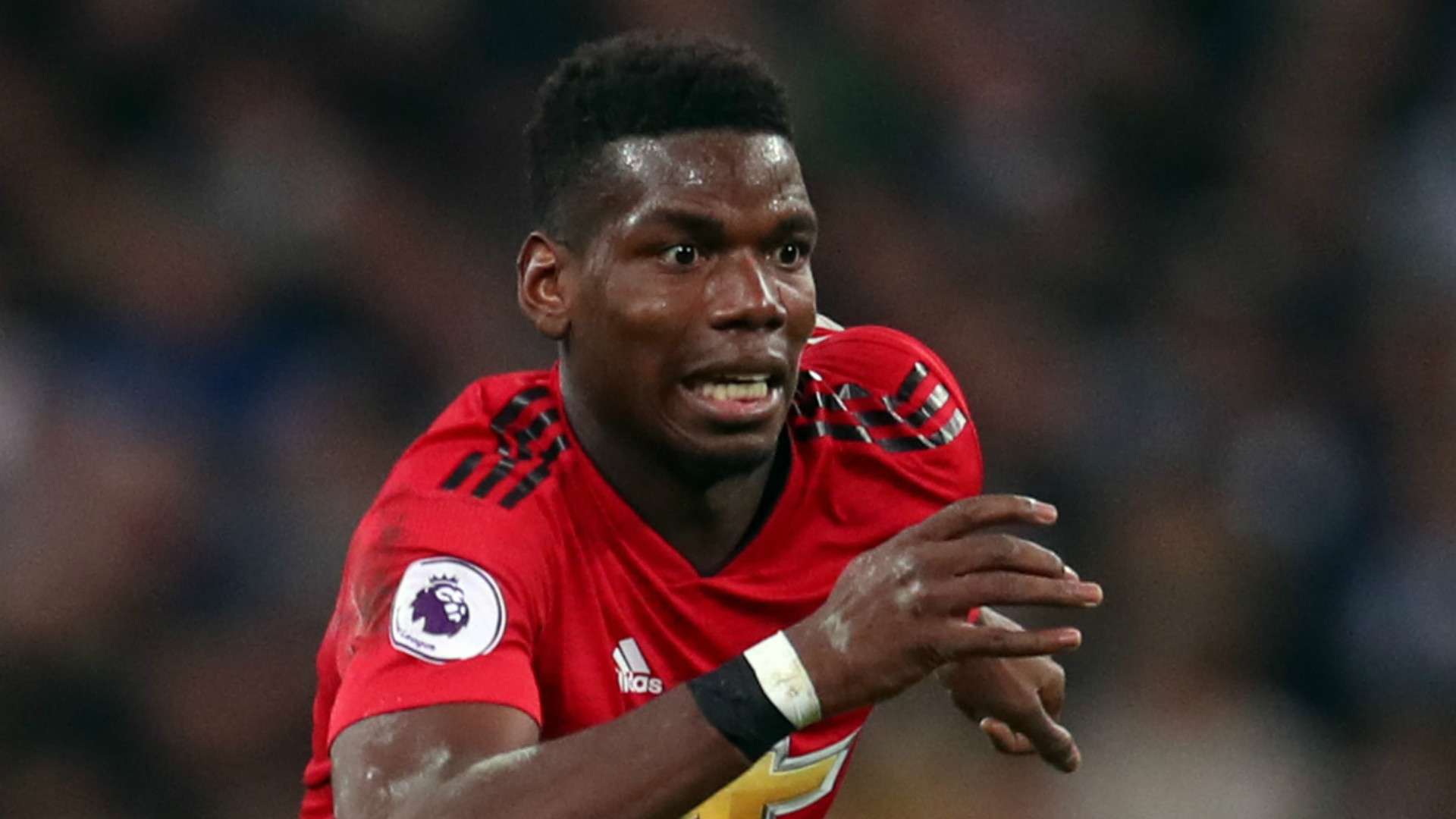 Paul Pogba Manchester United 2018-19