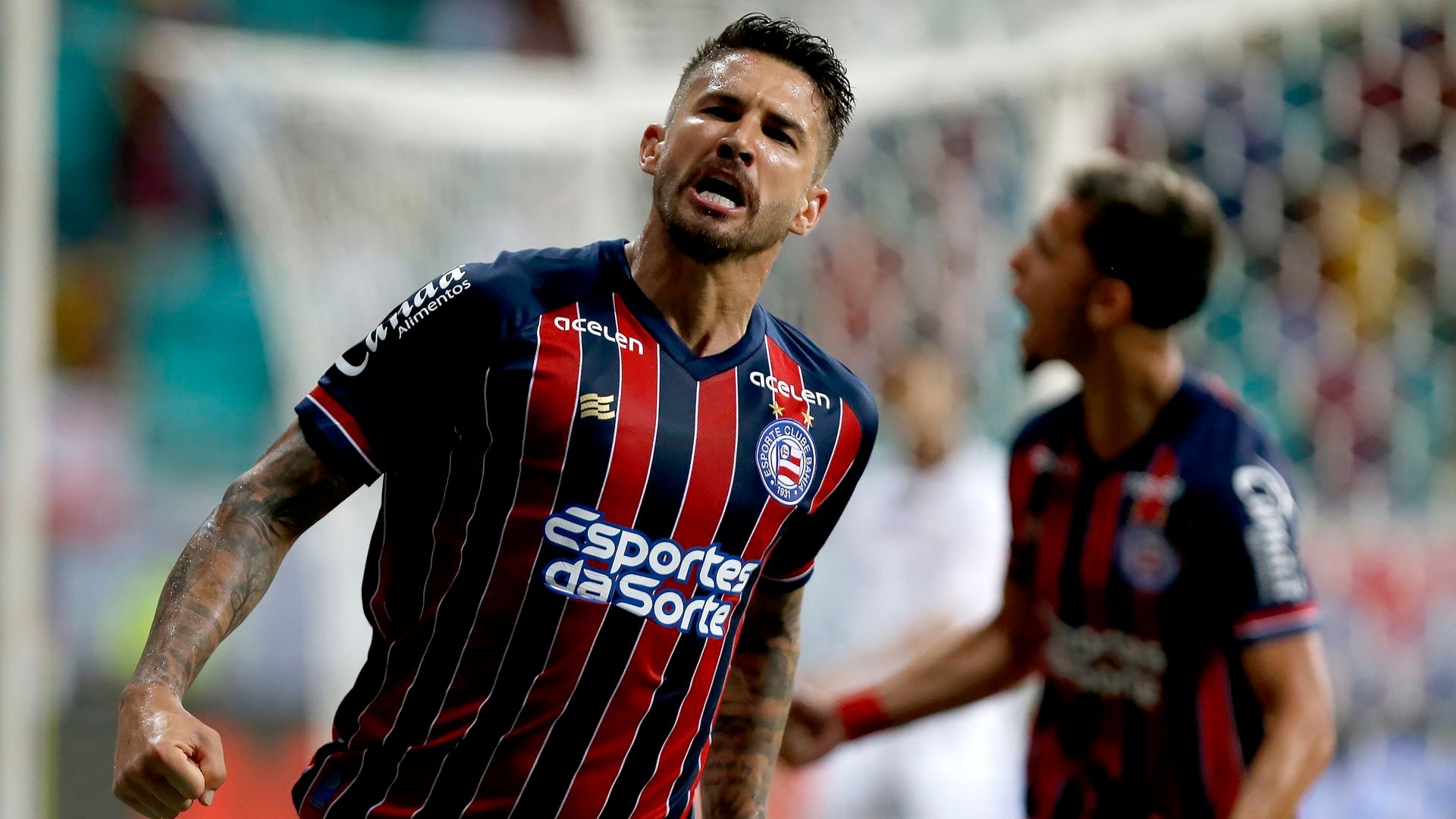 Everaldo, Bahia, Baianão 2023