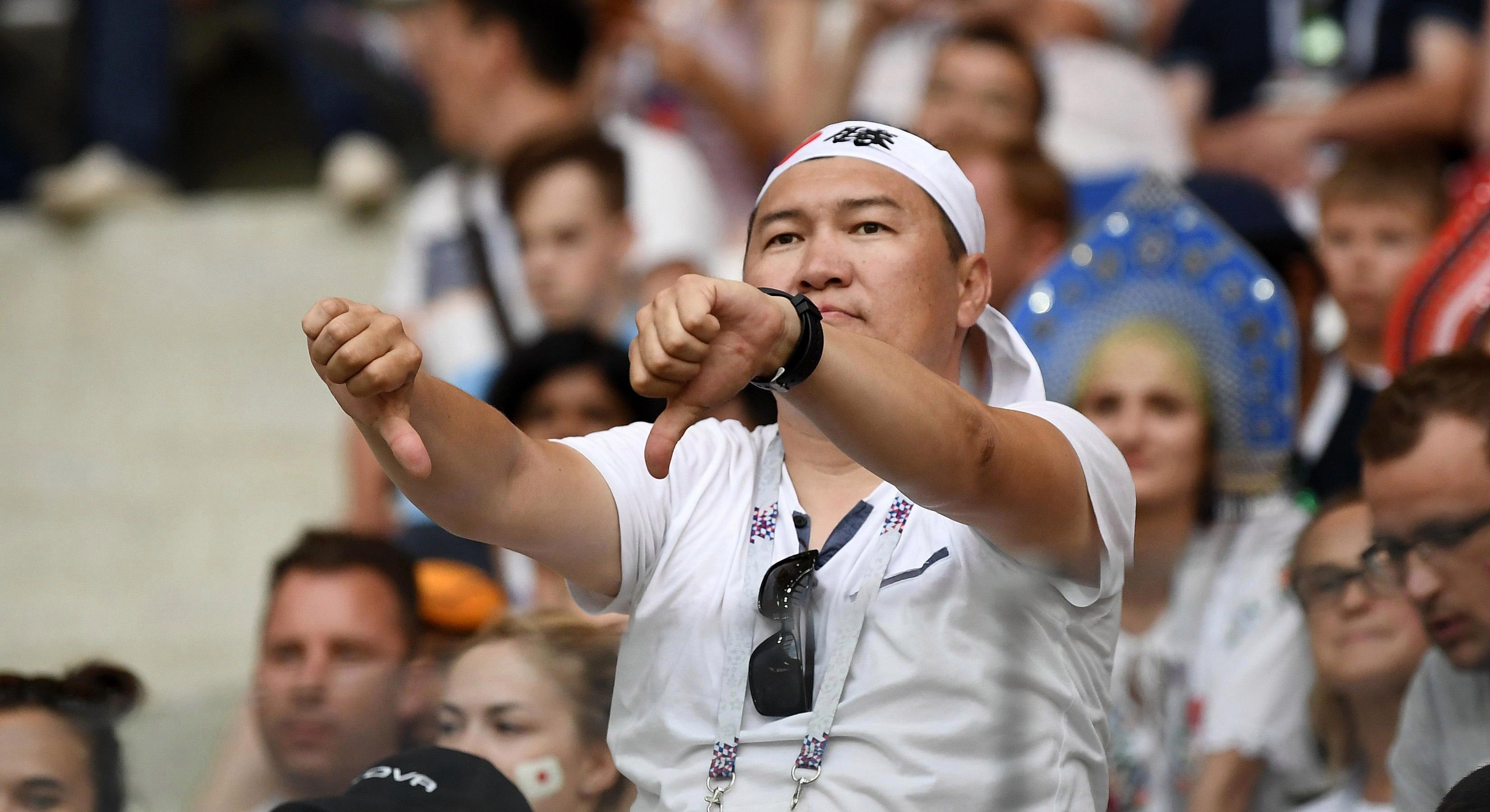 Japan fan