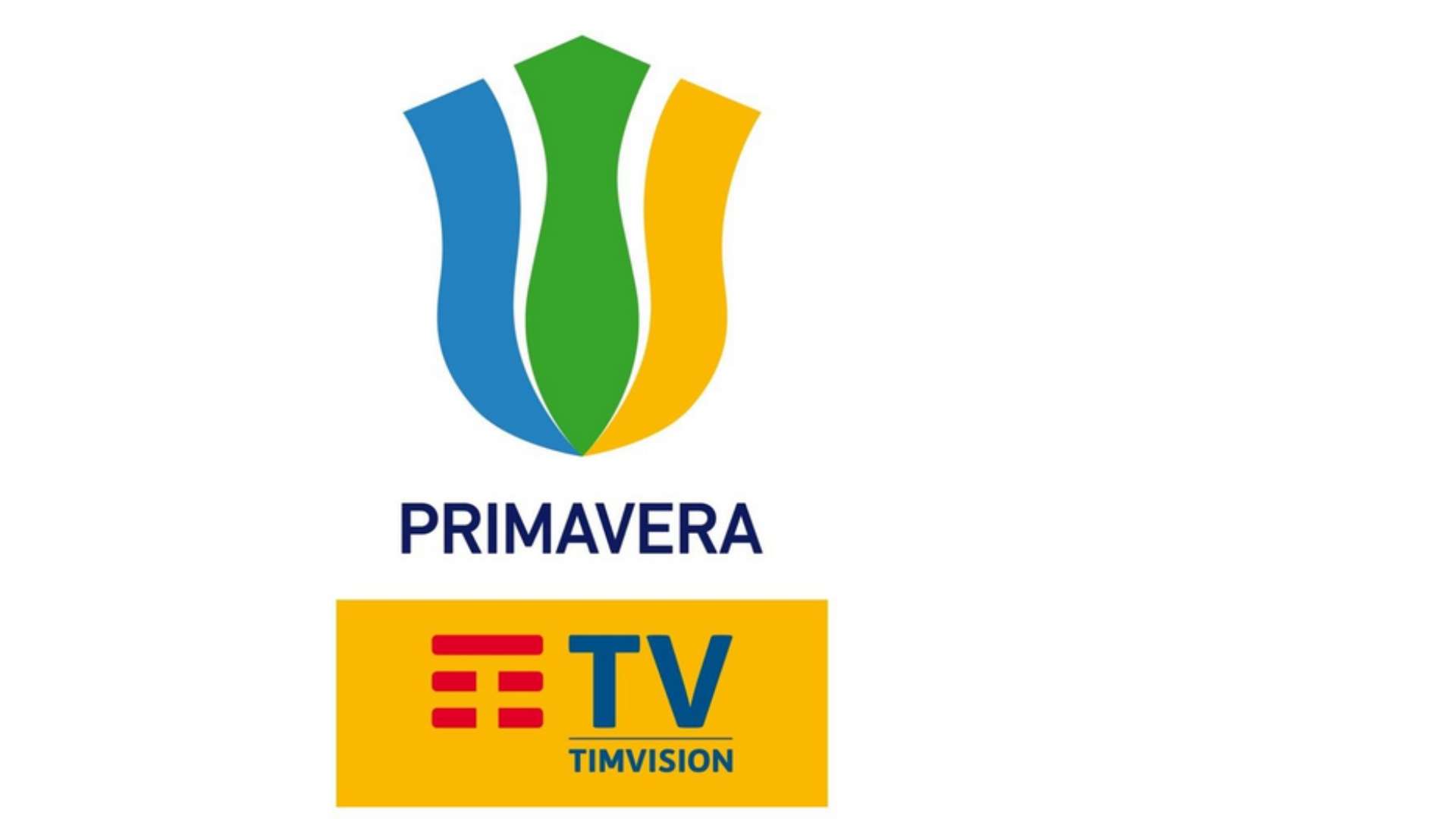 Campionato Primavera