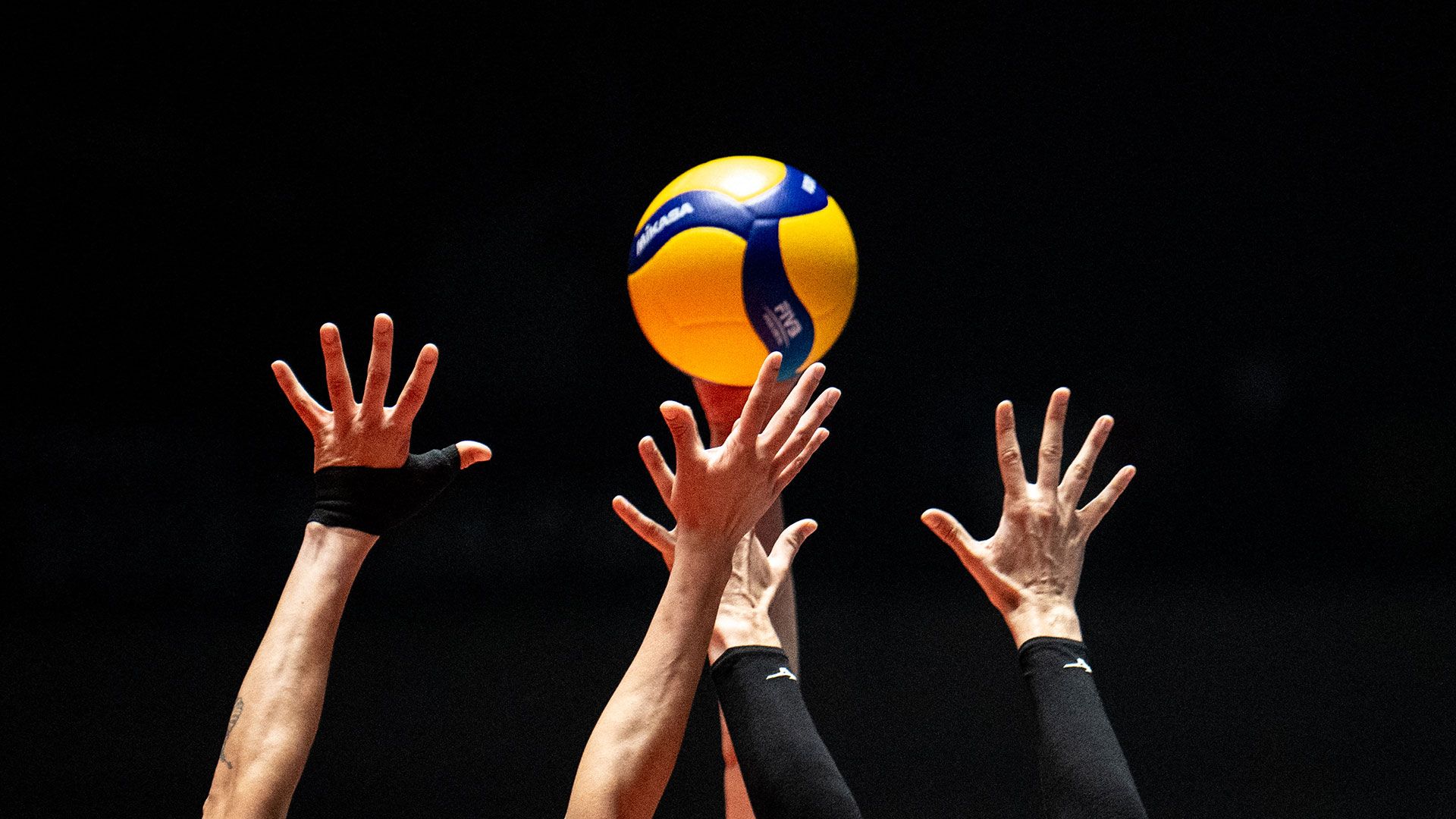 world volley