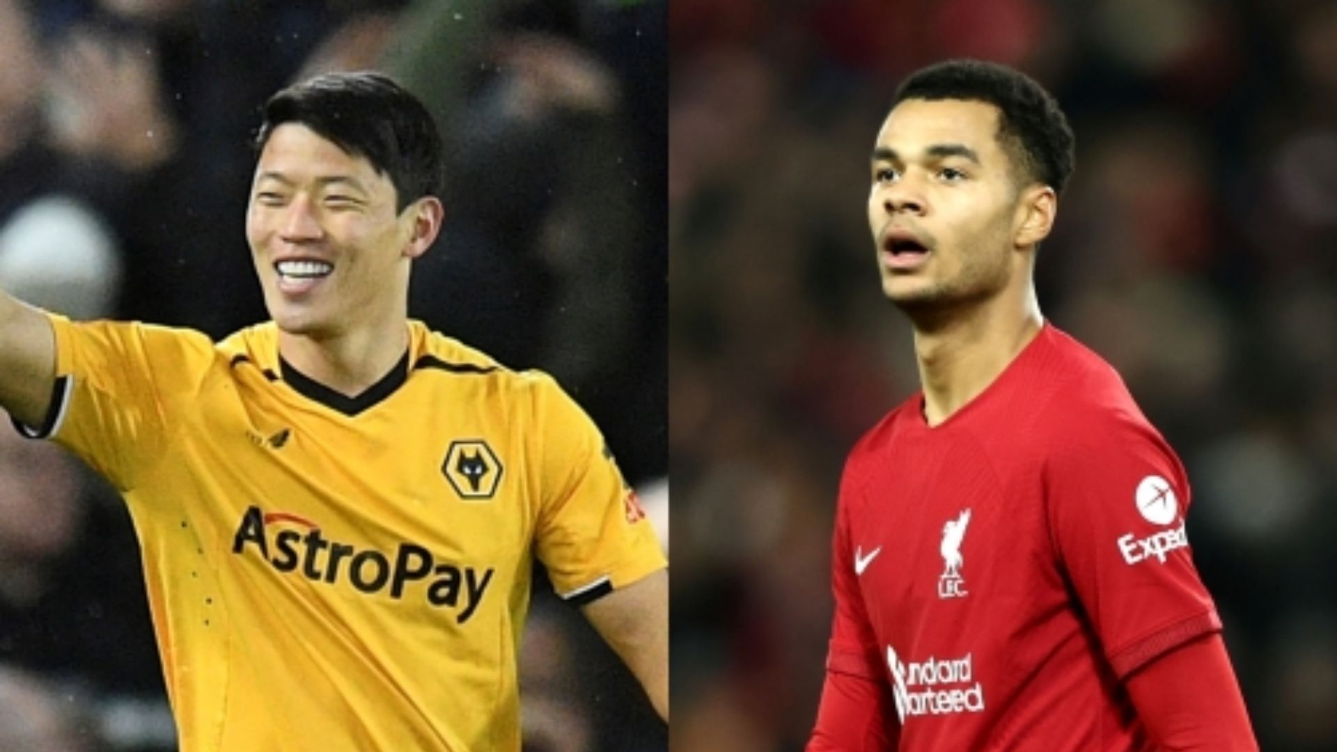 Hwang Hee-chan Wolverhampton Cody Gakpo Liverpool