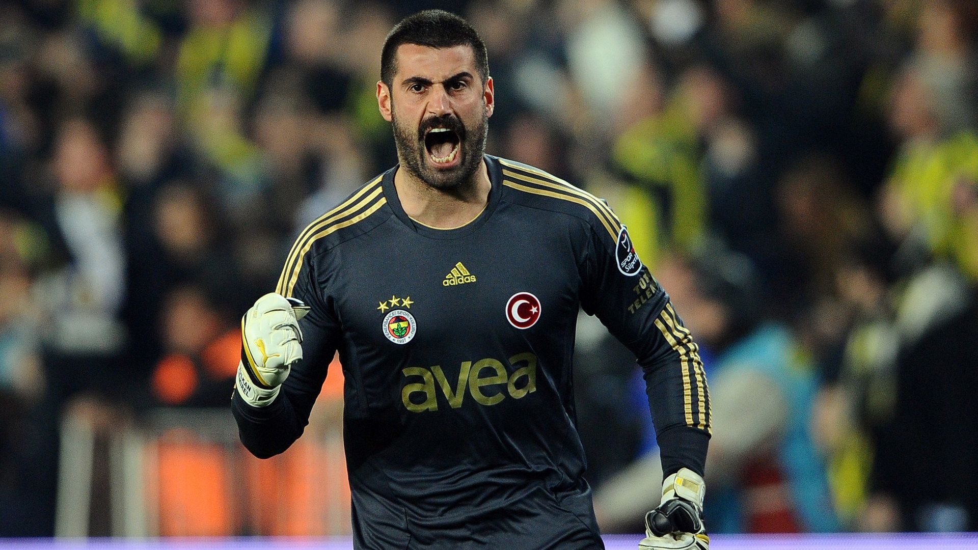 Volkan Demirel, Fenerbahce