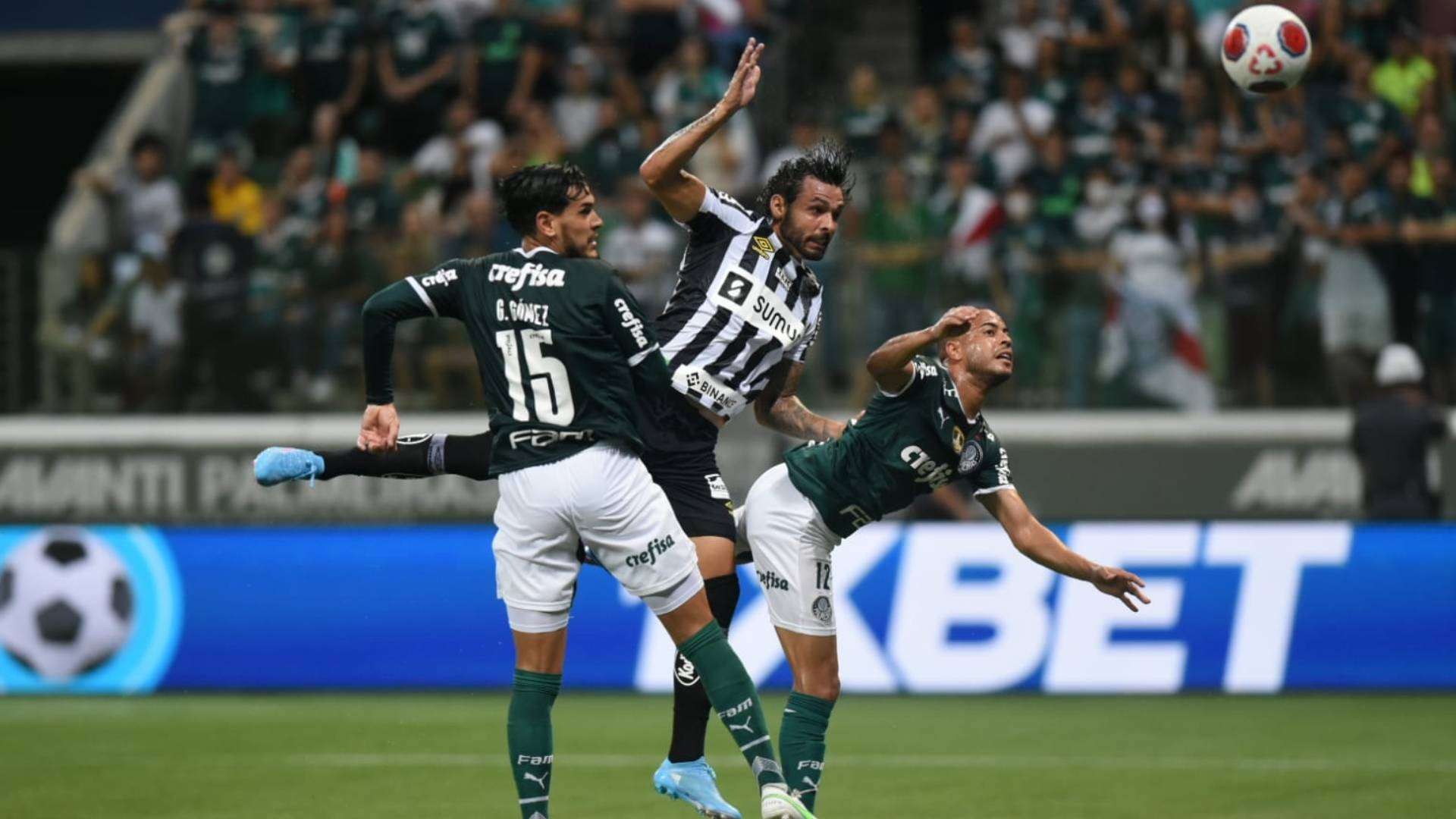 Palmeiras e Santos se enfrentam no Allianz Parque