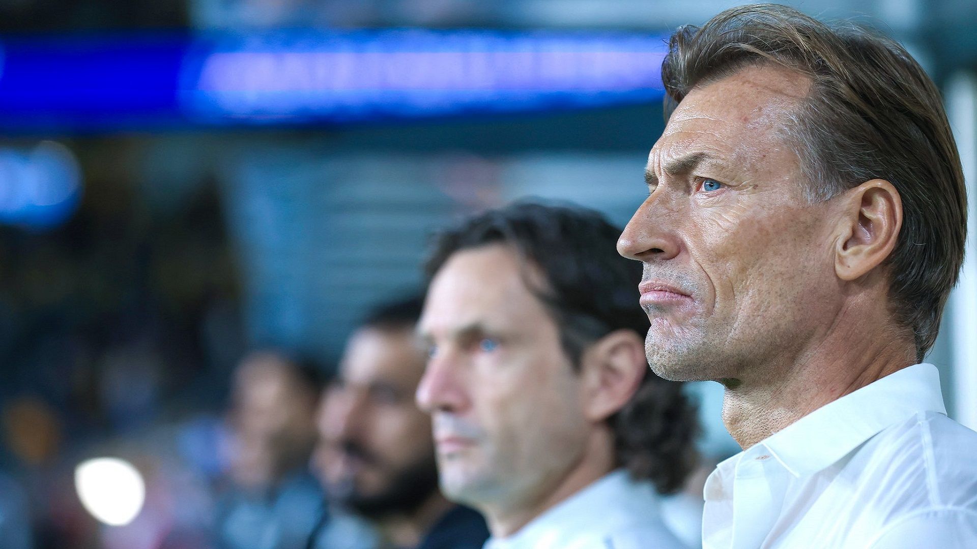 herve renard saudi arabia - ausralia 11-11-2021 afc world cup qualifiers