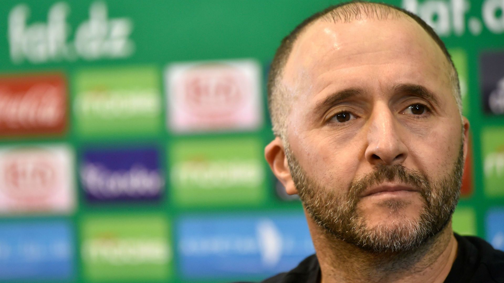 Djamel Belmadi Algeria