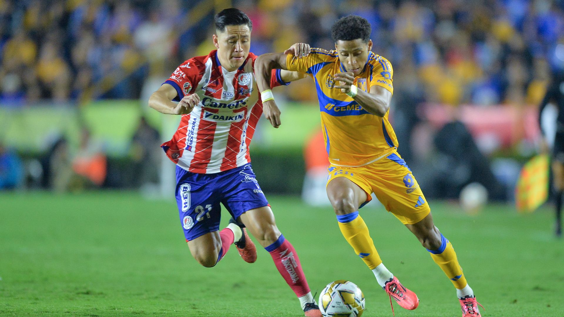 Tigres Atlético de San Luis Apertura 2024 Liga MX