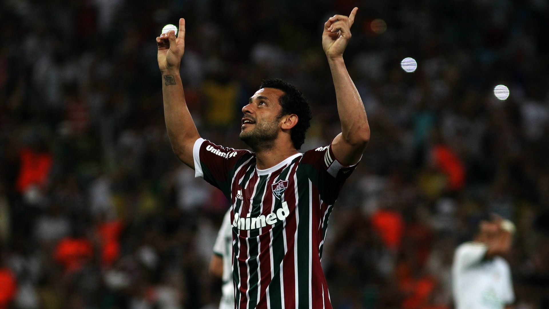 Fred | Fluminense x Palmeiras | Campeonato Brasileiro 2014 | 13/09/2015