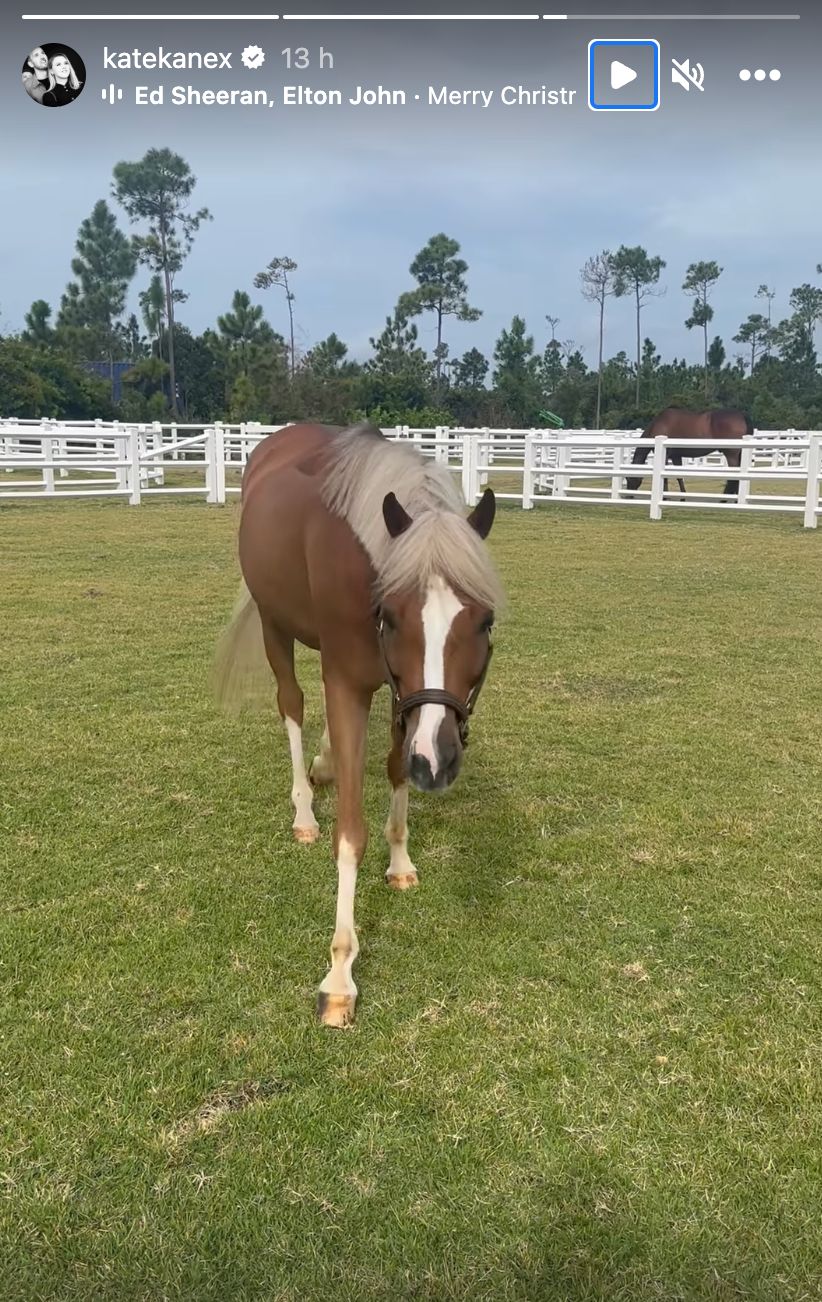 Harry Kane and Kate Goodland are enjoying a tropical Christmas break
