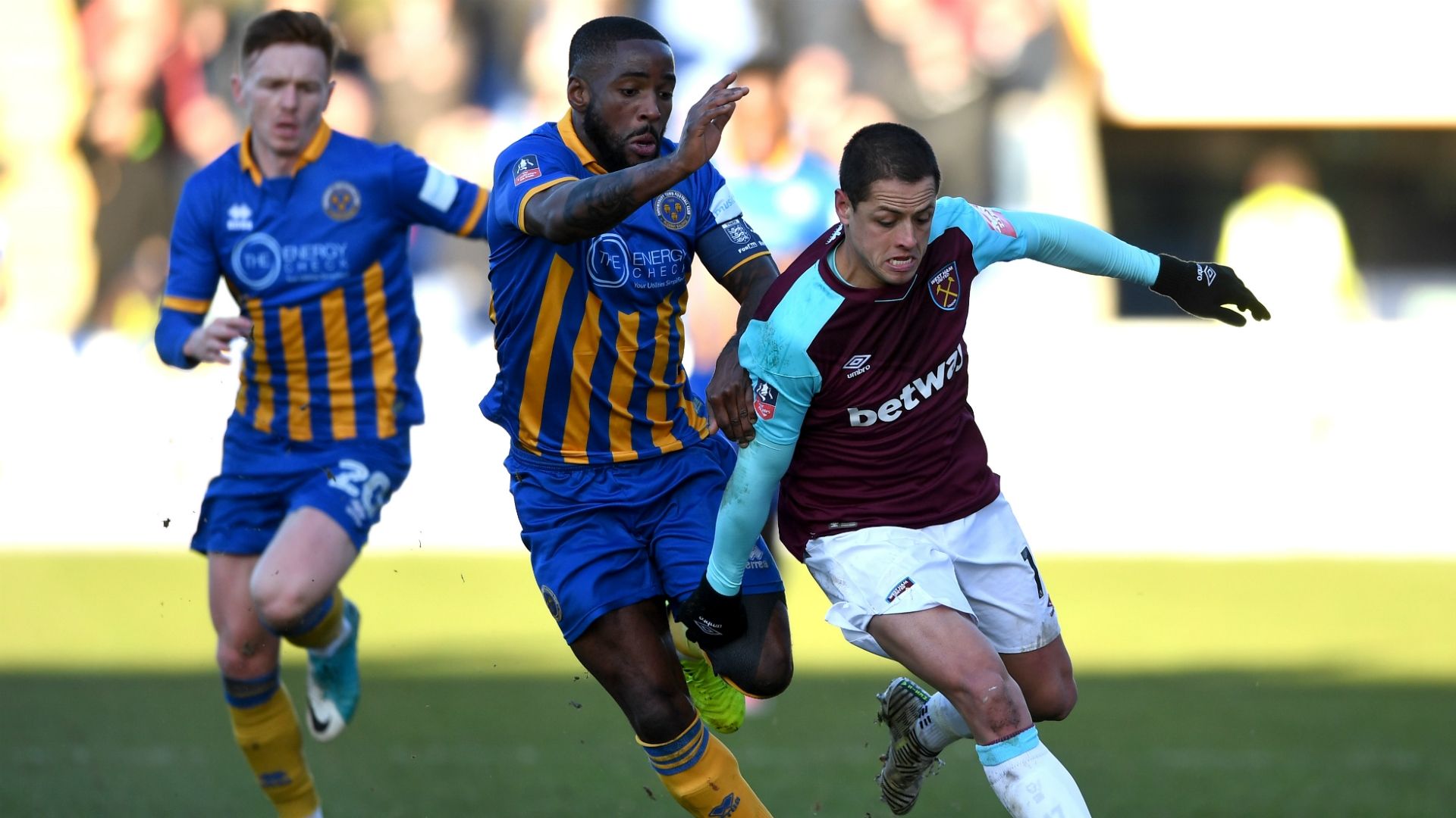 Chicharito West Ham FA Cup