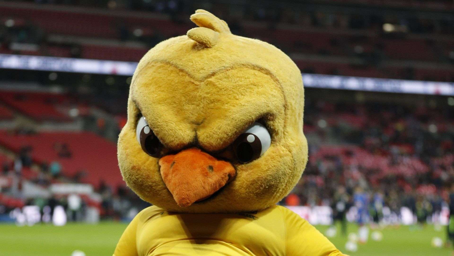 Canarinho mascote England Brazil Friendly 14112017