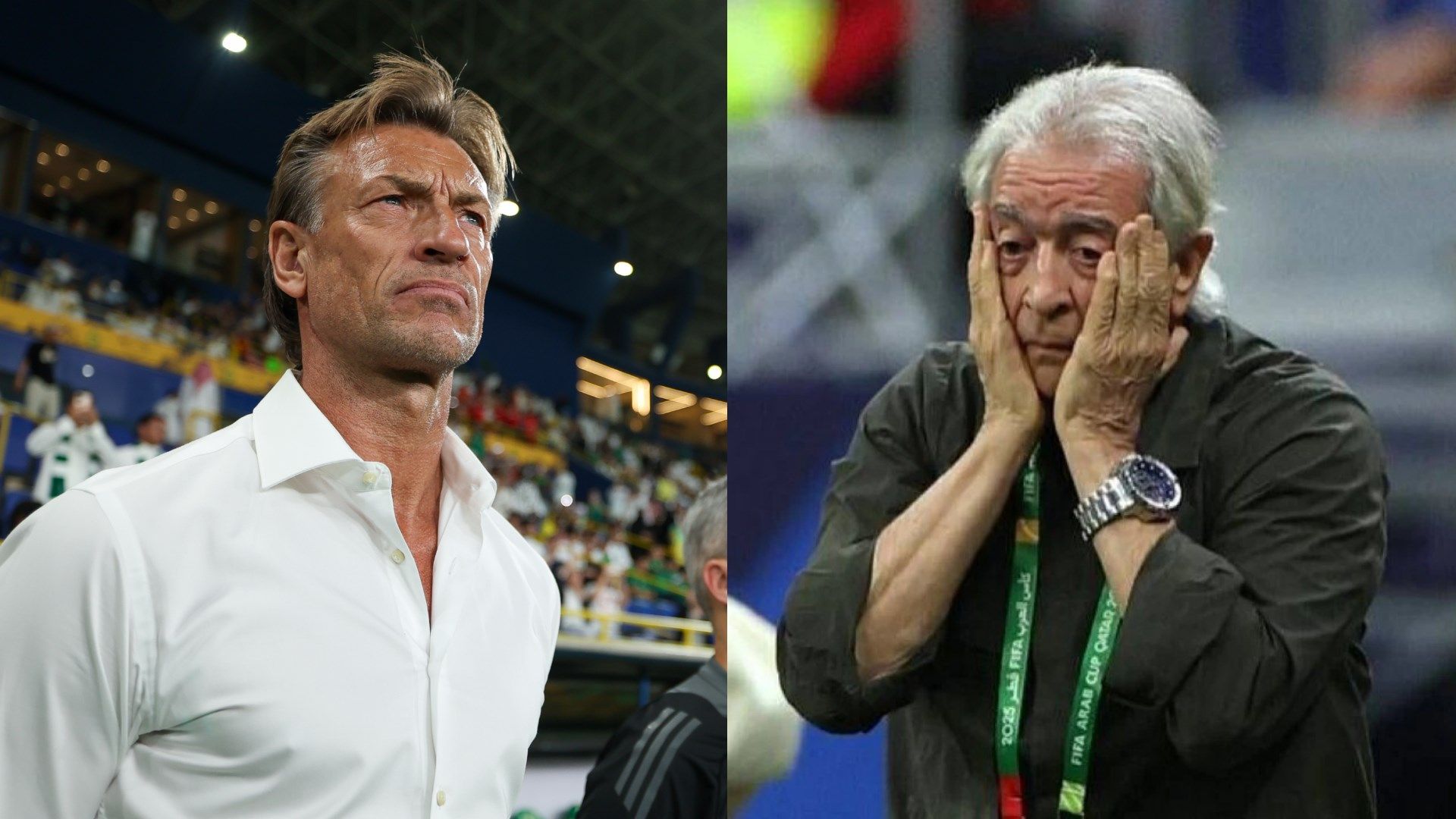 Helmi Toulan Herve Renard - Saudi Arabia Egypt