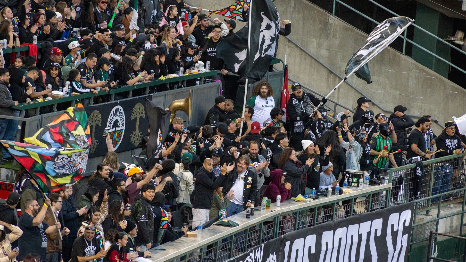 Oakland Roots fans