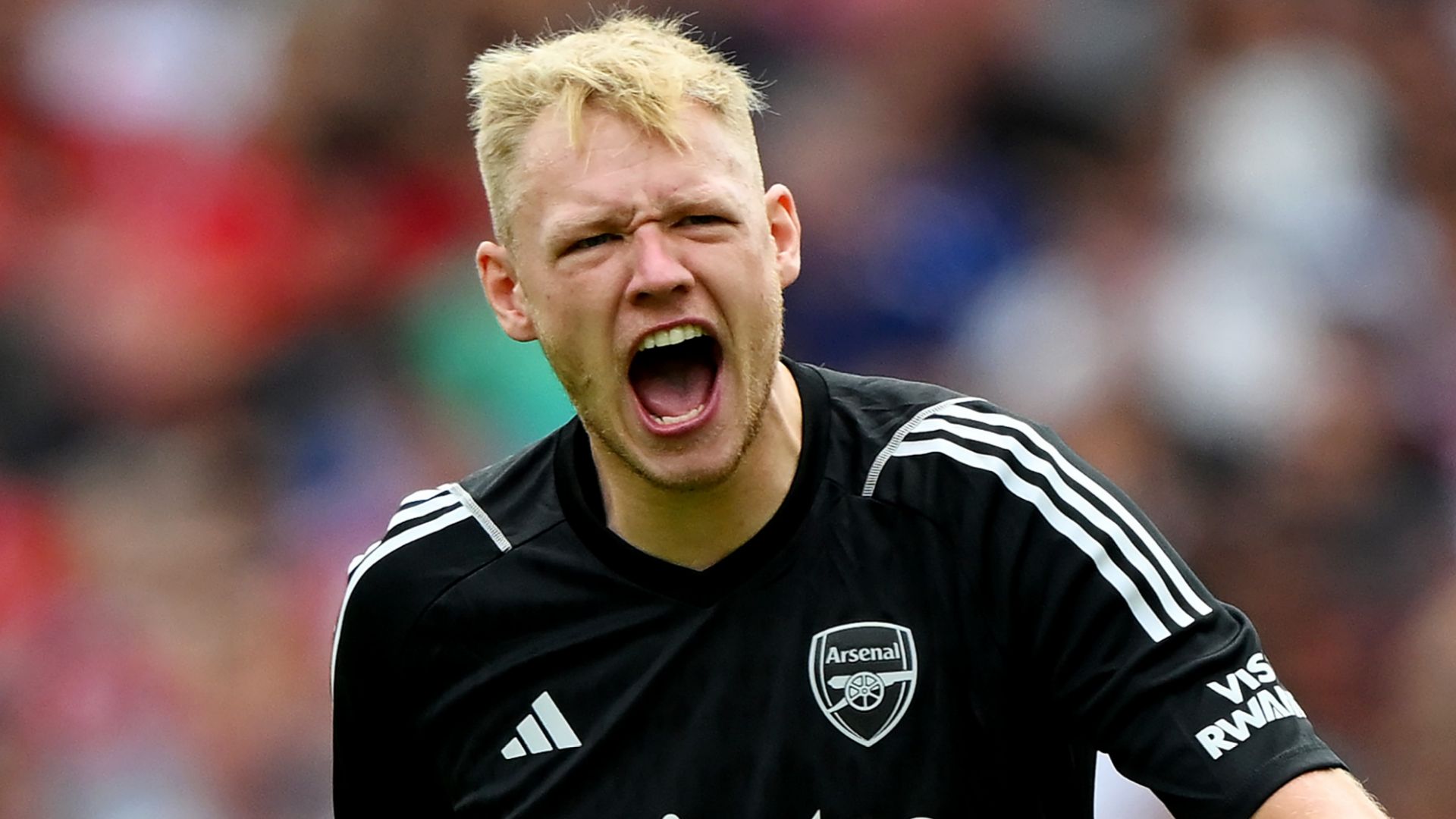 Aaron Ramsdale Arsenal 2023-24