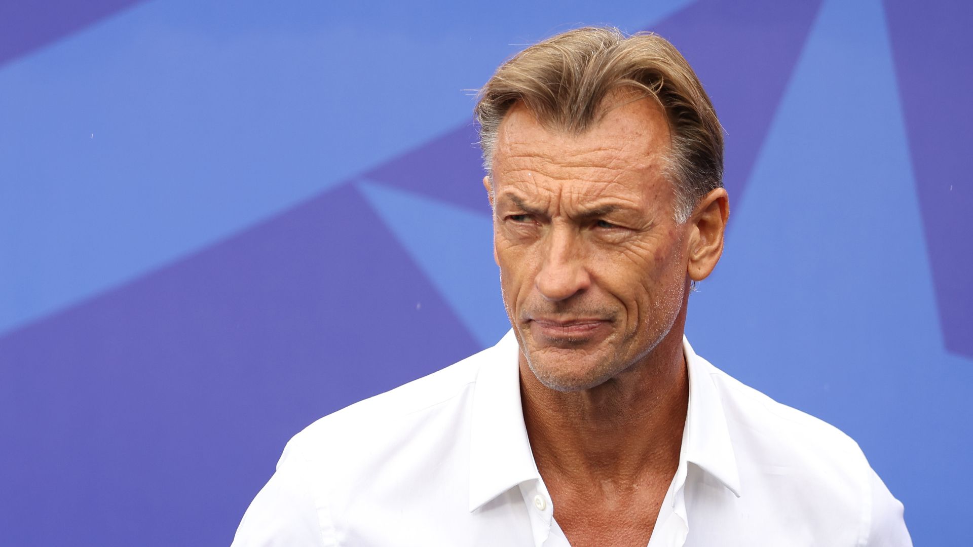 renard
