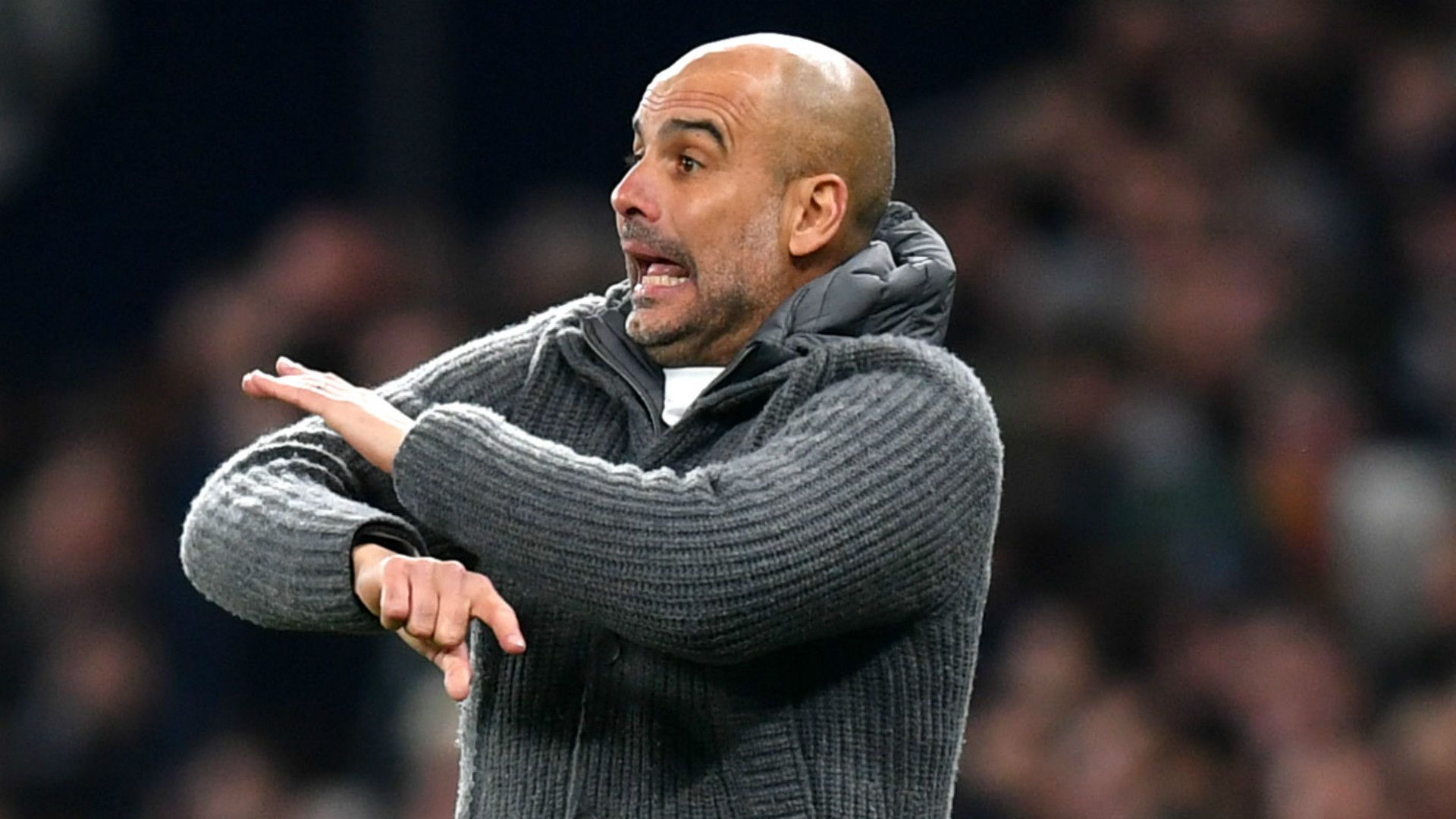 Pep Guardiola Manchester City 2018-19