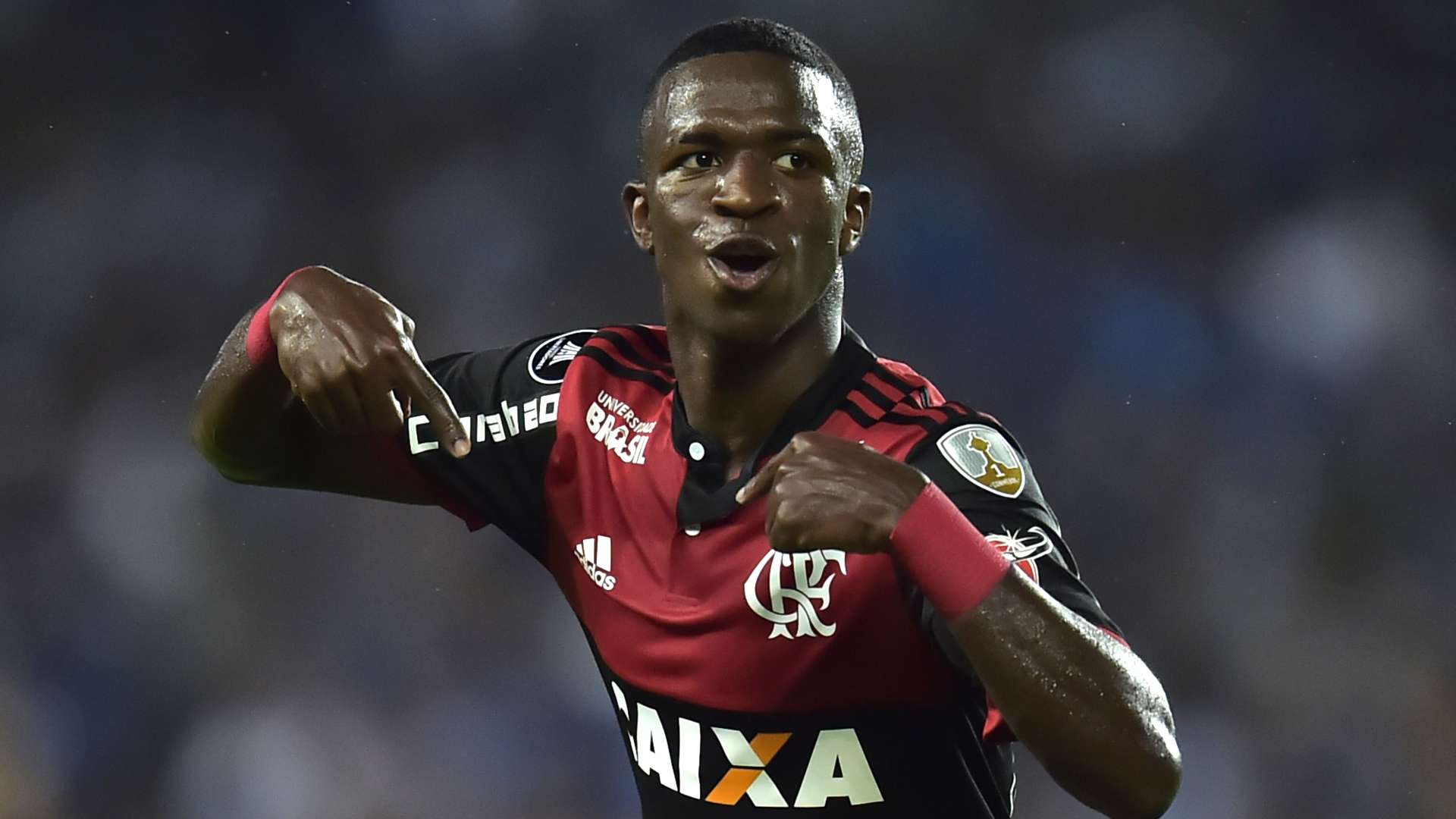 Vinicius Flamengo